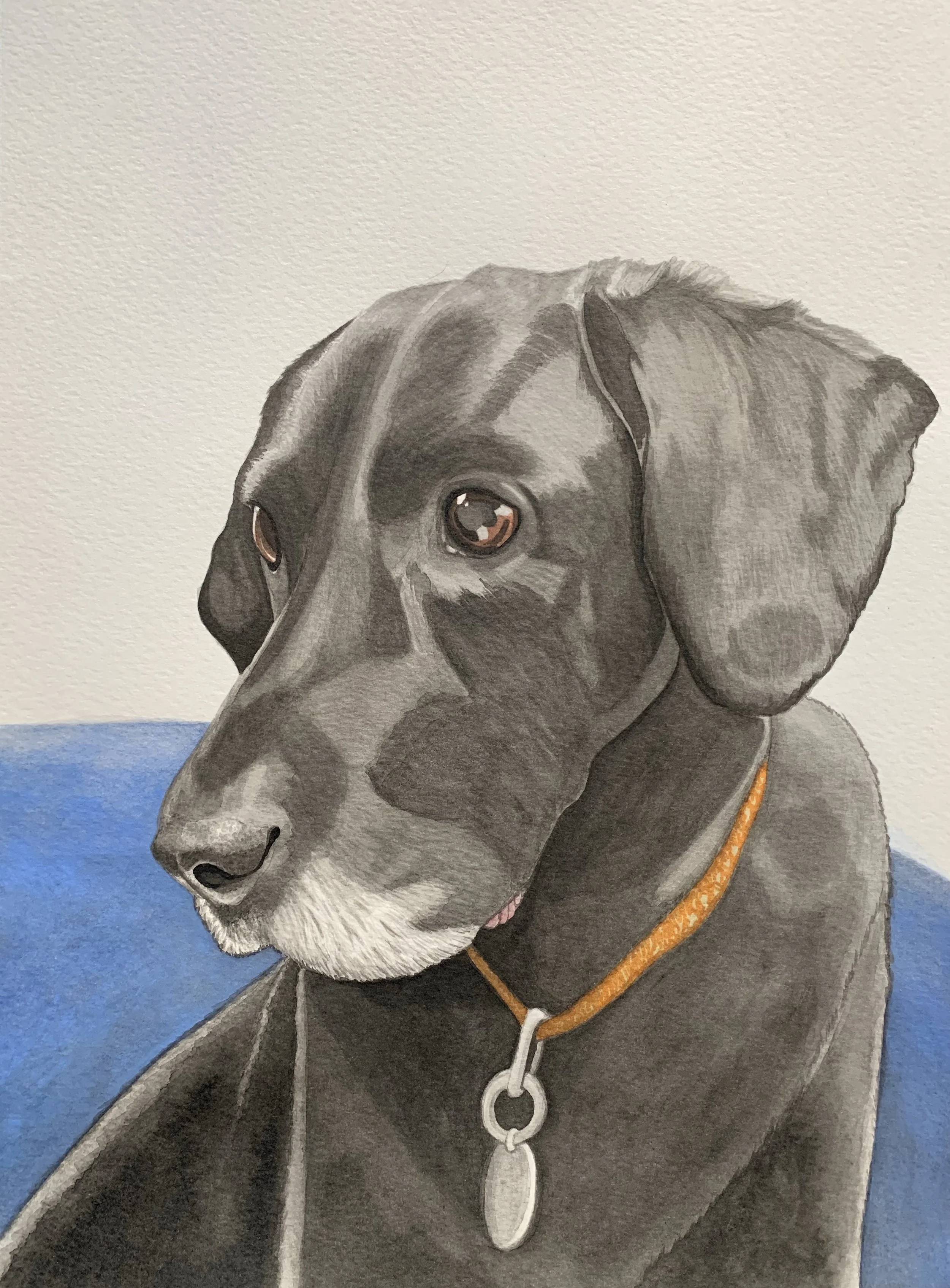 Painting of a gray dog, possibly a Labrador Retriever, with a pendant and chain, against a blue and white background.