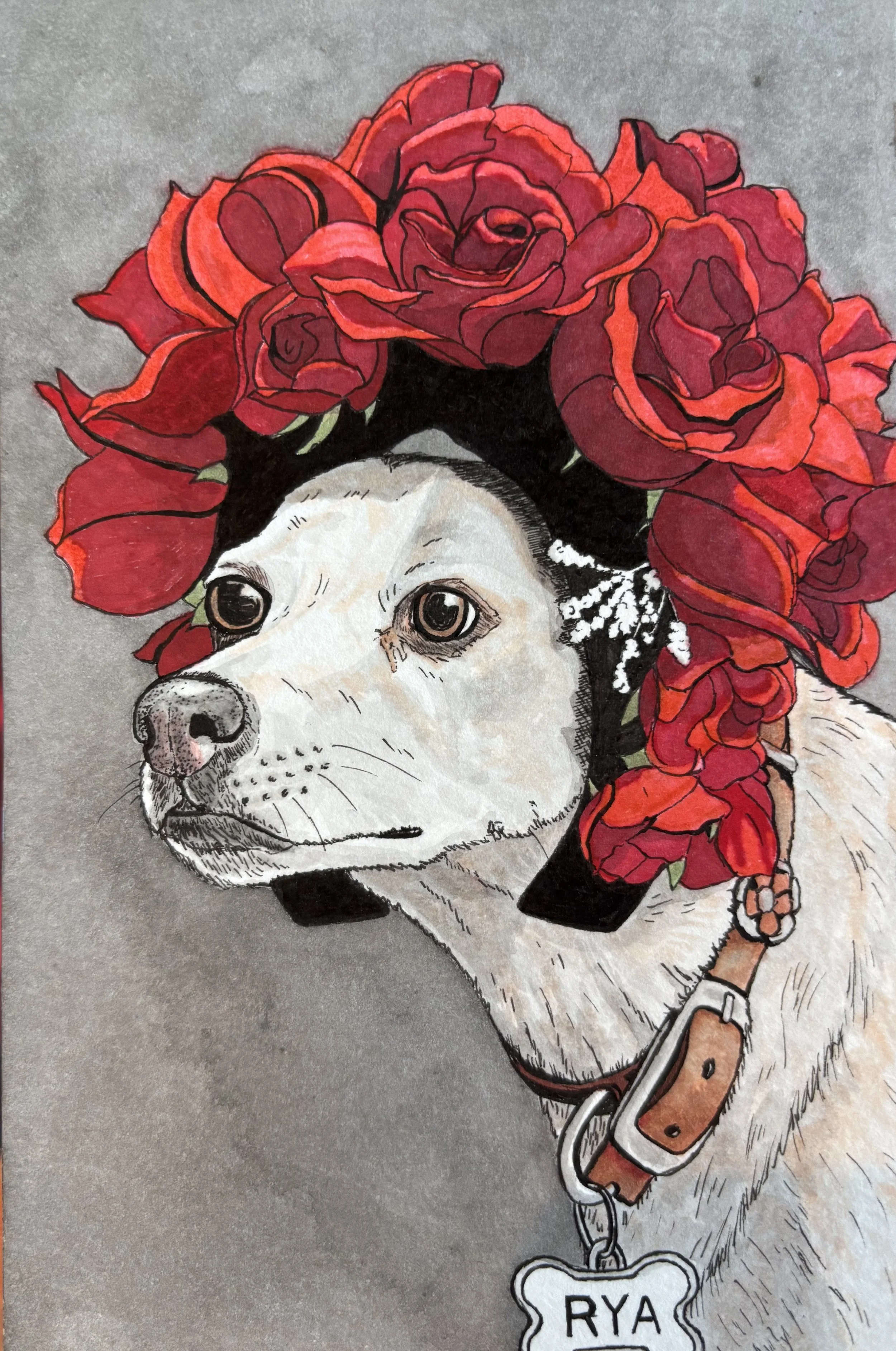 Drawing of a dog with white and black fur wearing a collar with a tag that says RYA, surrounded by red roses on its head.