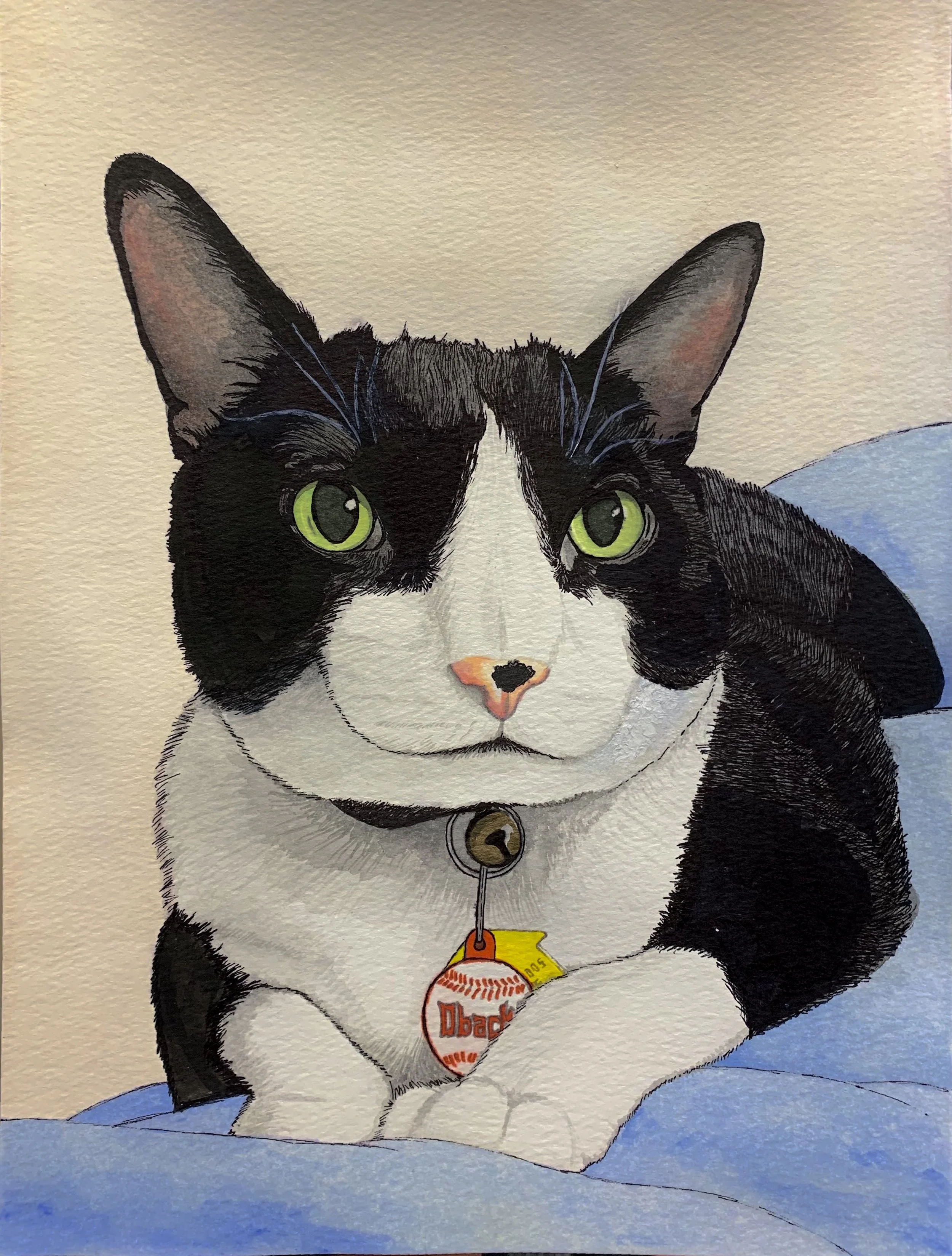 A hand-painted illustration of a black and white cat with bright green eyes sitting on a blue blanket, wearing a collar with a round tag that says "O Buddy" and a yellow tag attached to it.