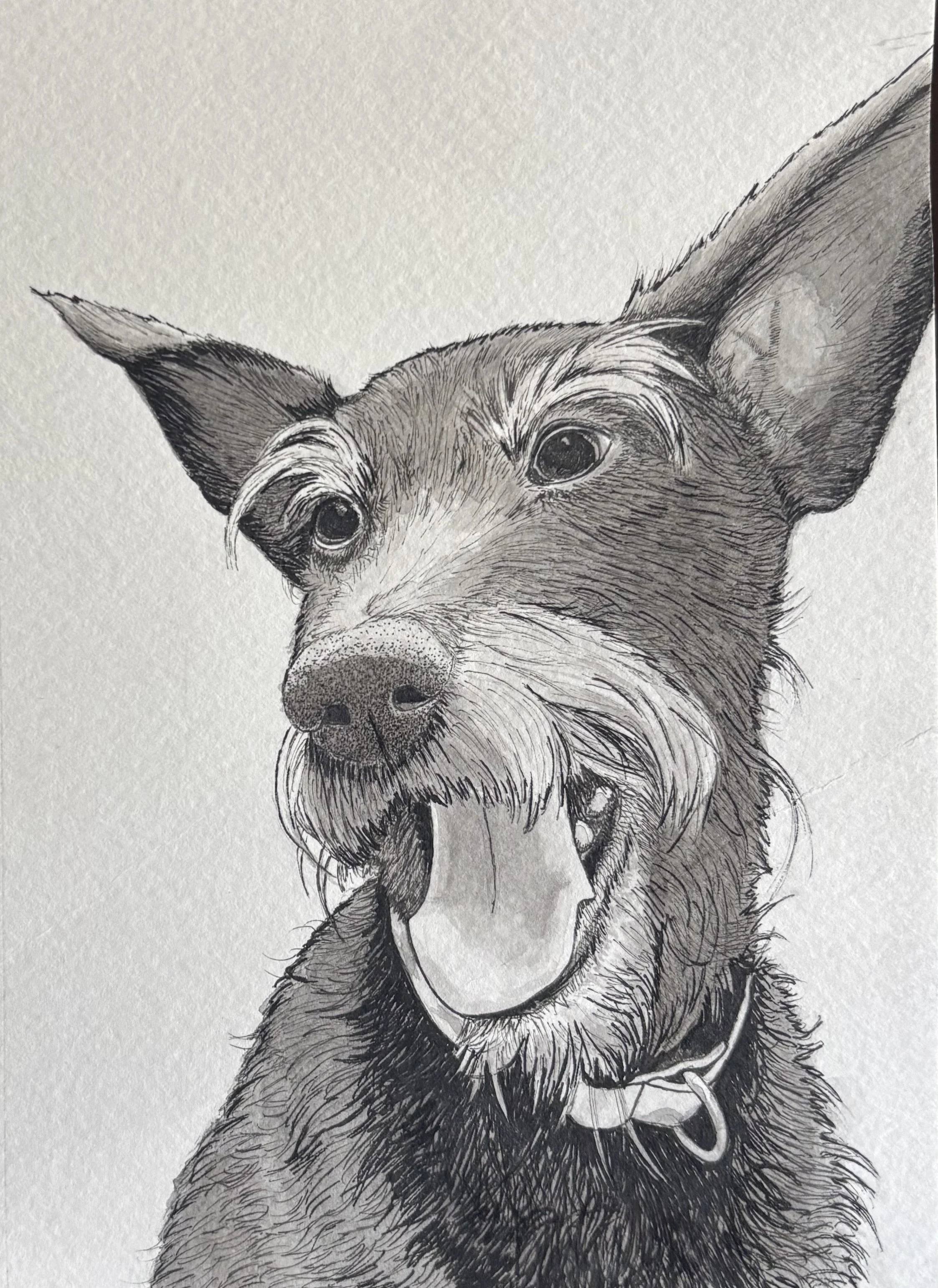 Black and white drawing of a dog, possibly a German Shepherd, with its tongue out and wearing a collar.