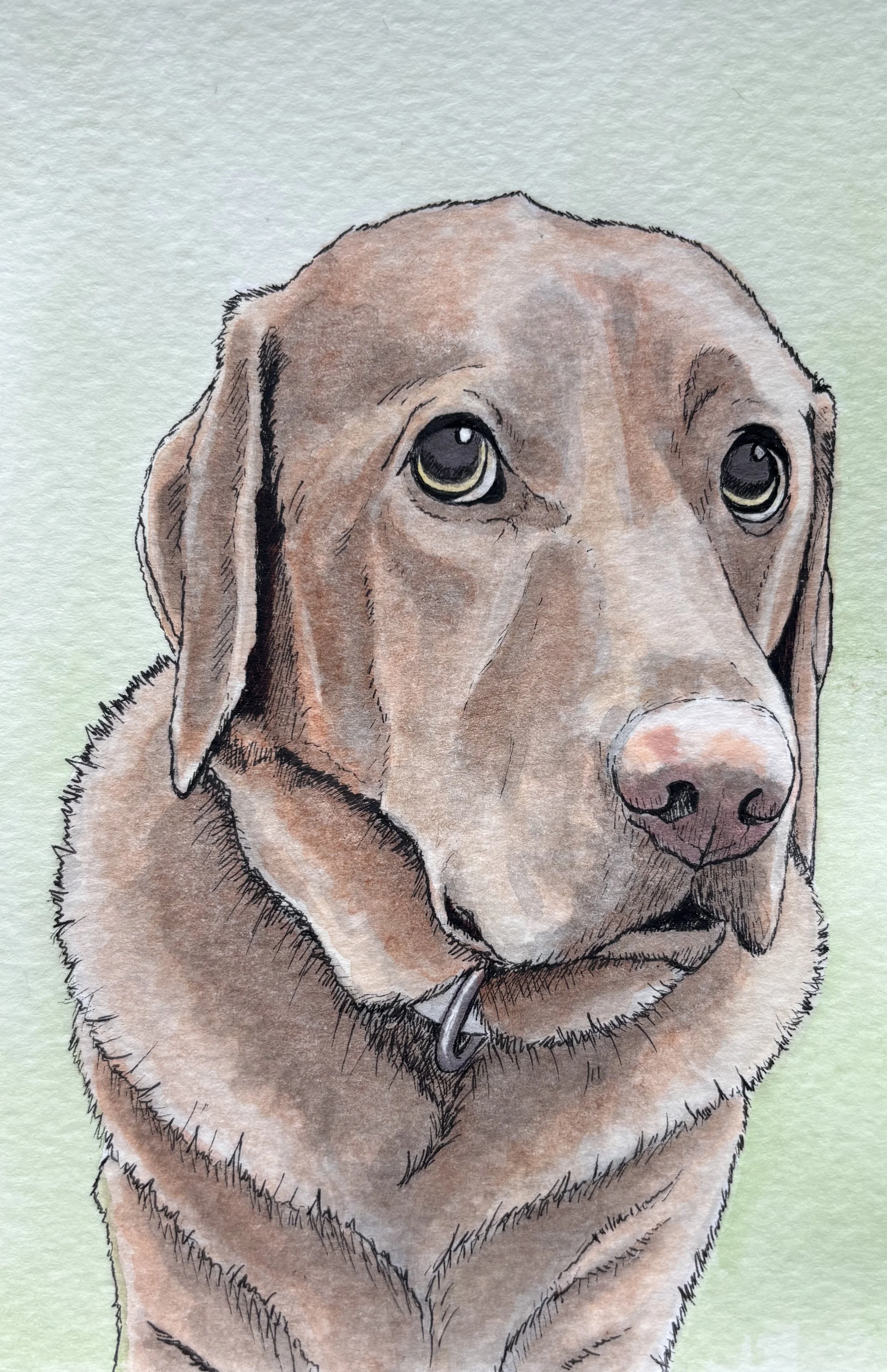 A watercolor painting of a brown dog with expressive eyes, wearing a collar with a star-shaped tag.