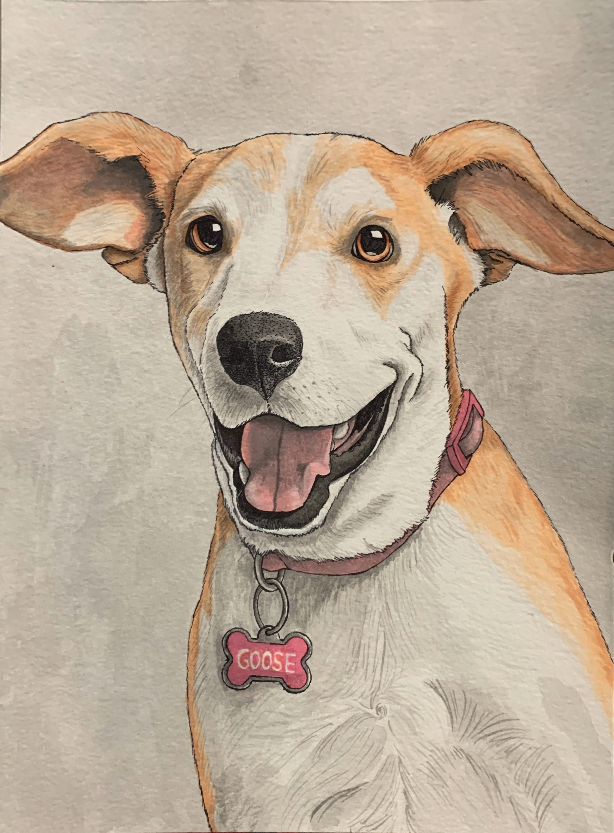 Colorful illustration of a happy dog with brown eyes, tan and white fur, large floppy ears, wearing a pink collar with a bone-shaped tag that says 'GOOSE'.