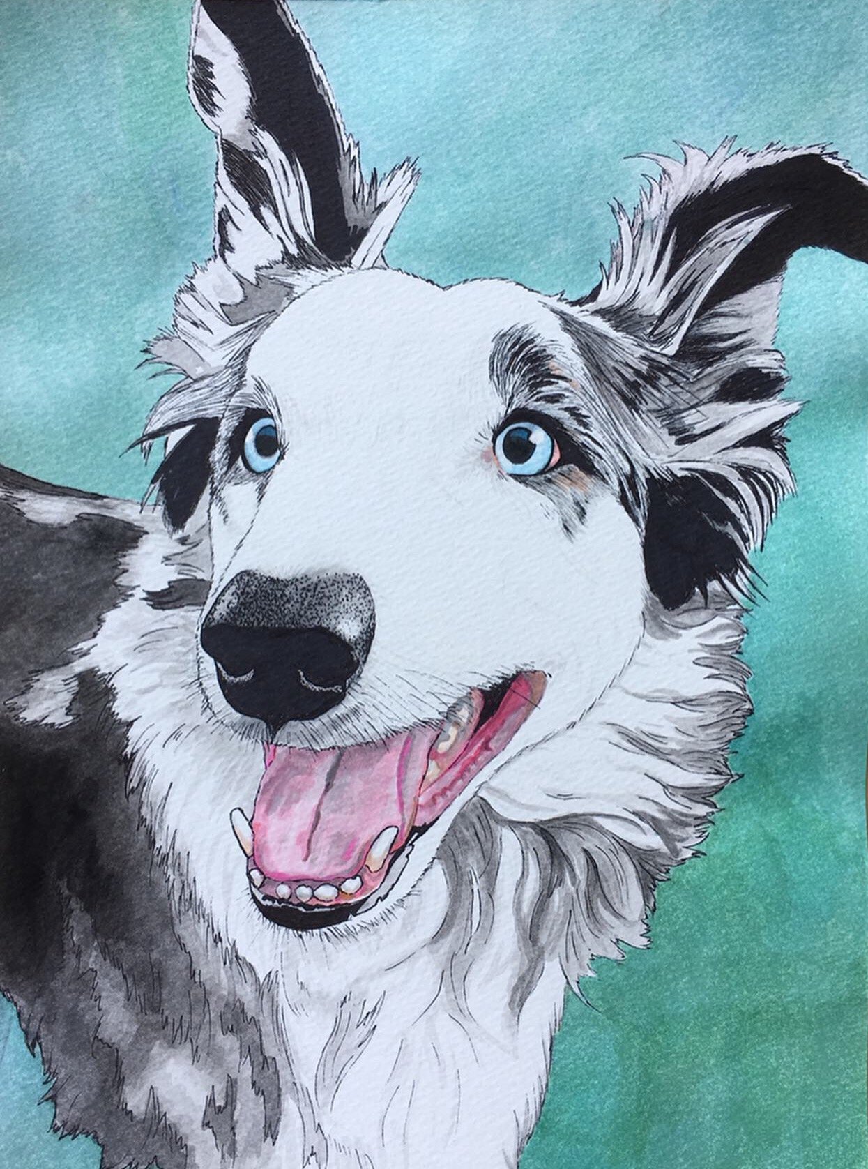 A watercolor painting of a happy Border Collie with blue eyes, black and white fur, tongue out, against a blue background.