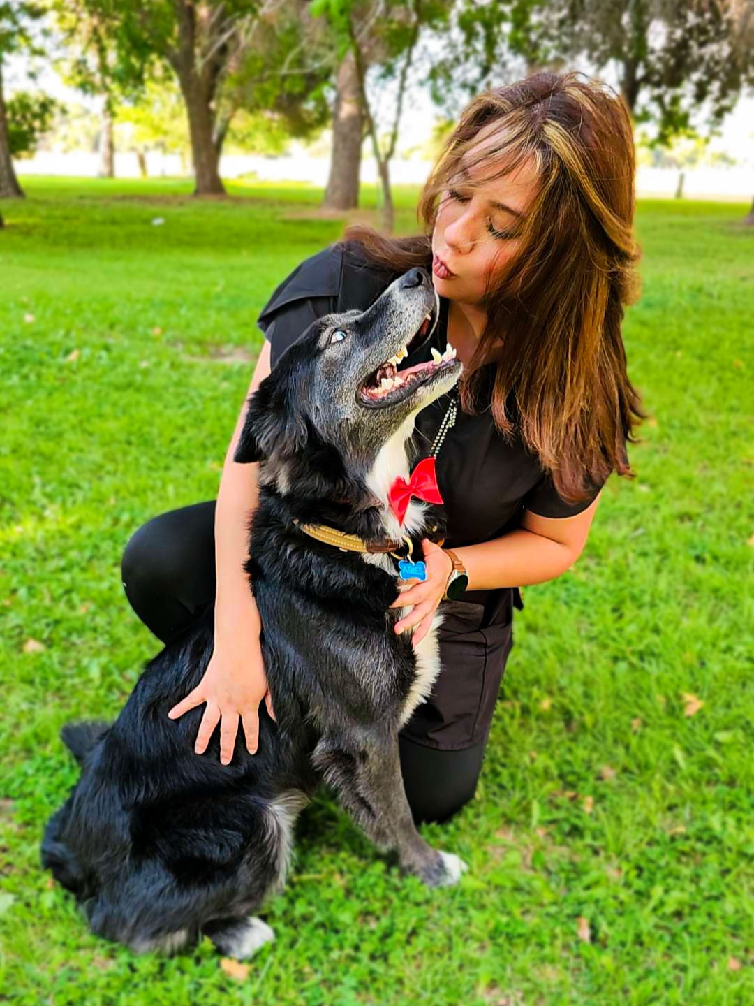 A woman kneeling outdoors on green grass, hugging and about to kiss a black and white dog with a red bow tie and a yellow collar with a blue tag, in a park with trees in the background.
