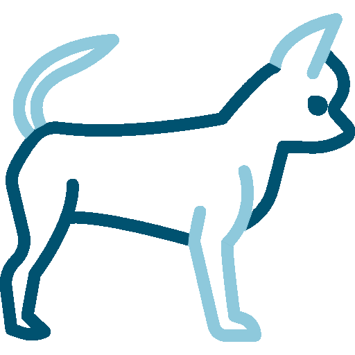 Outline drawing of a dog with a tail, ears, and four legs.