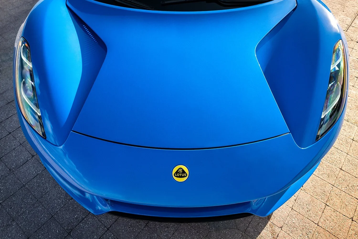R1250264_Low2.jpg.webp