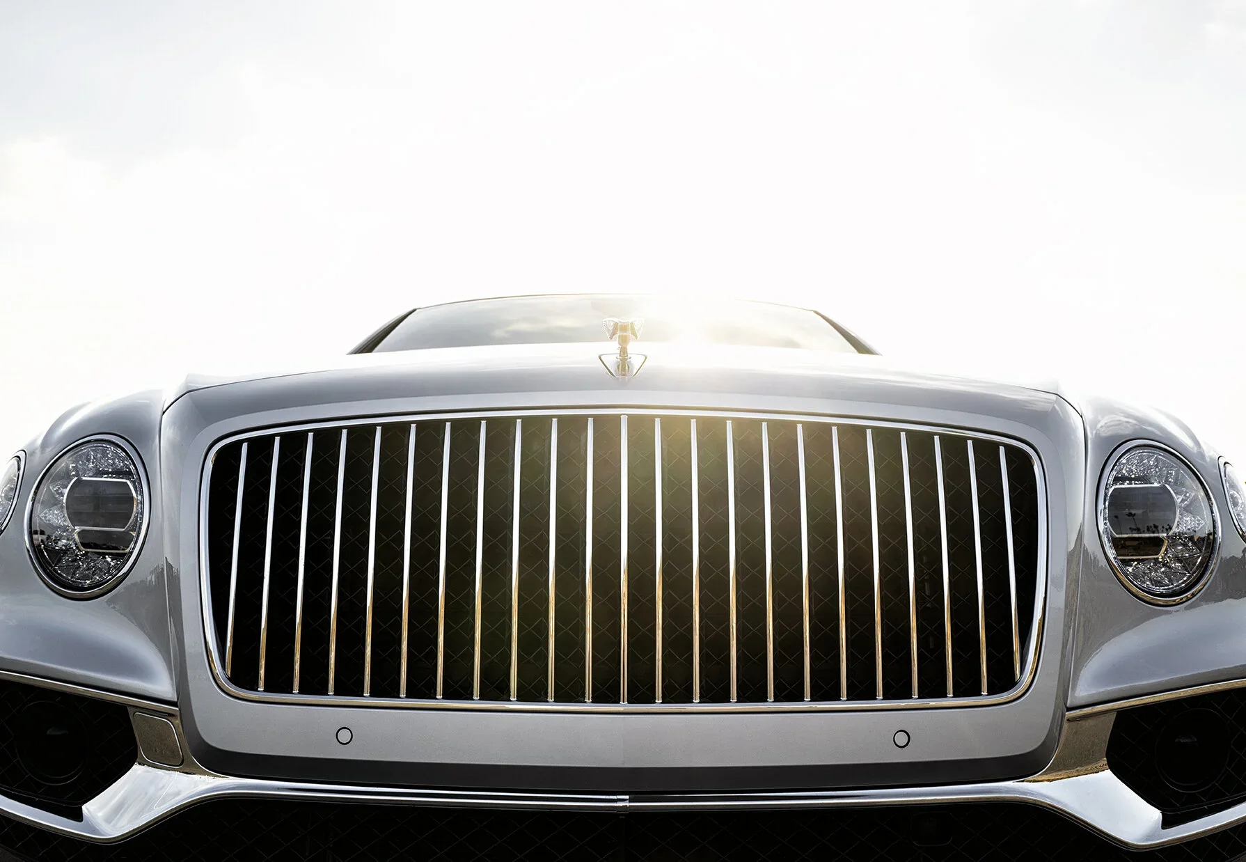 L1220085_Low.jpg.webp
