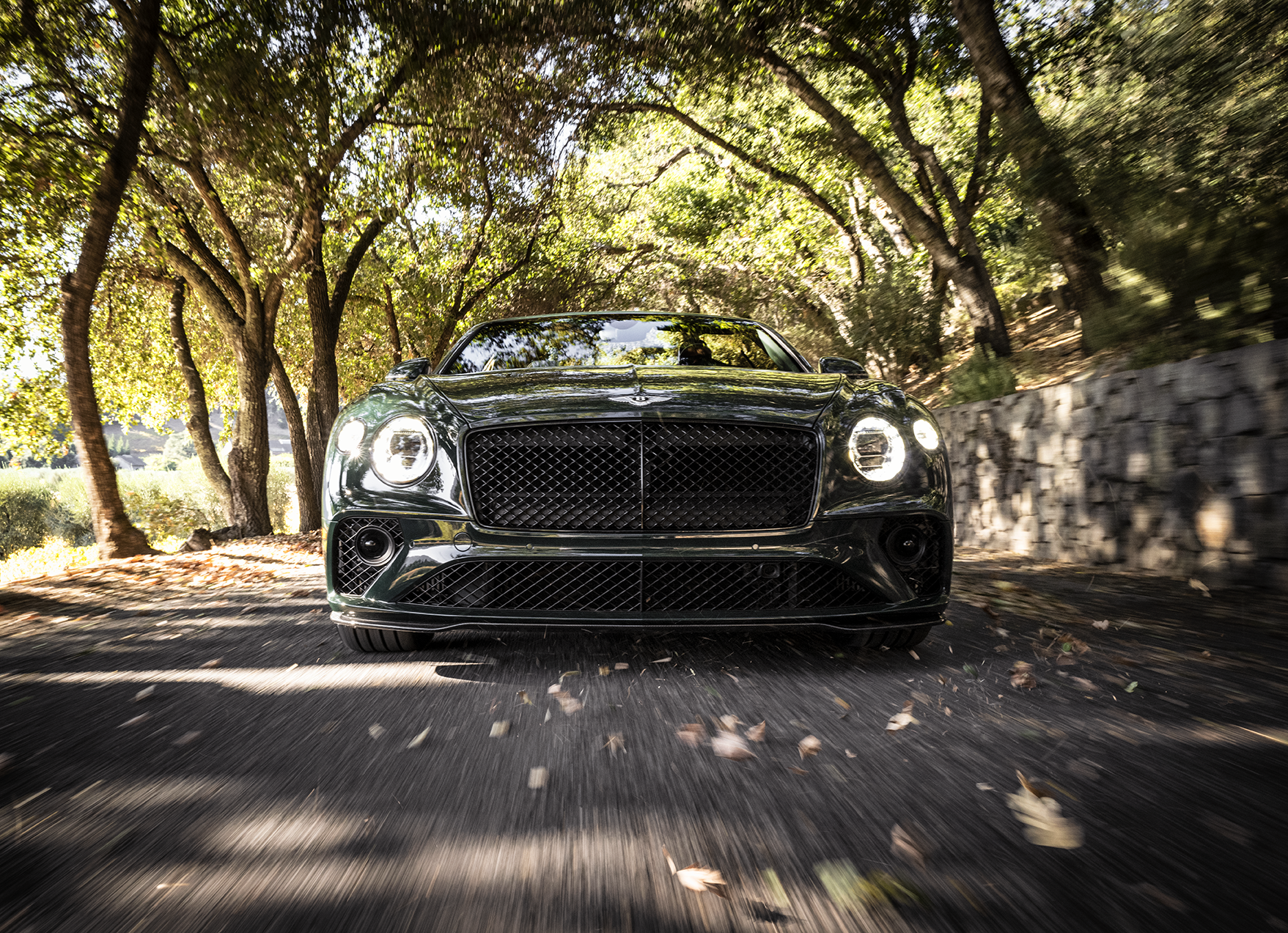 L1040018_Low.png.webp