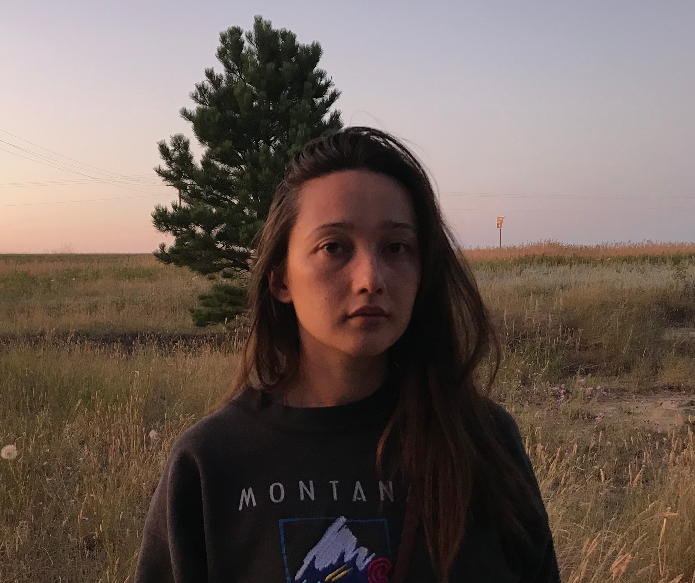 A woman with long dark hair partially visible in the foreground, standing outdoors during dusk or dawn, with a background of a grassy field, a tall pine tree, and a streetlight in the distance.