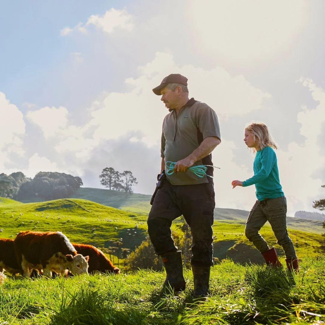 Farmer and young girl walking through a paddock with cattle behind