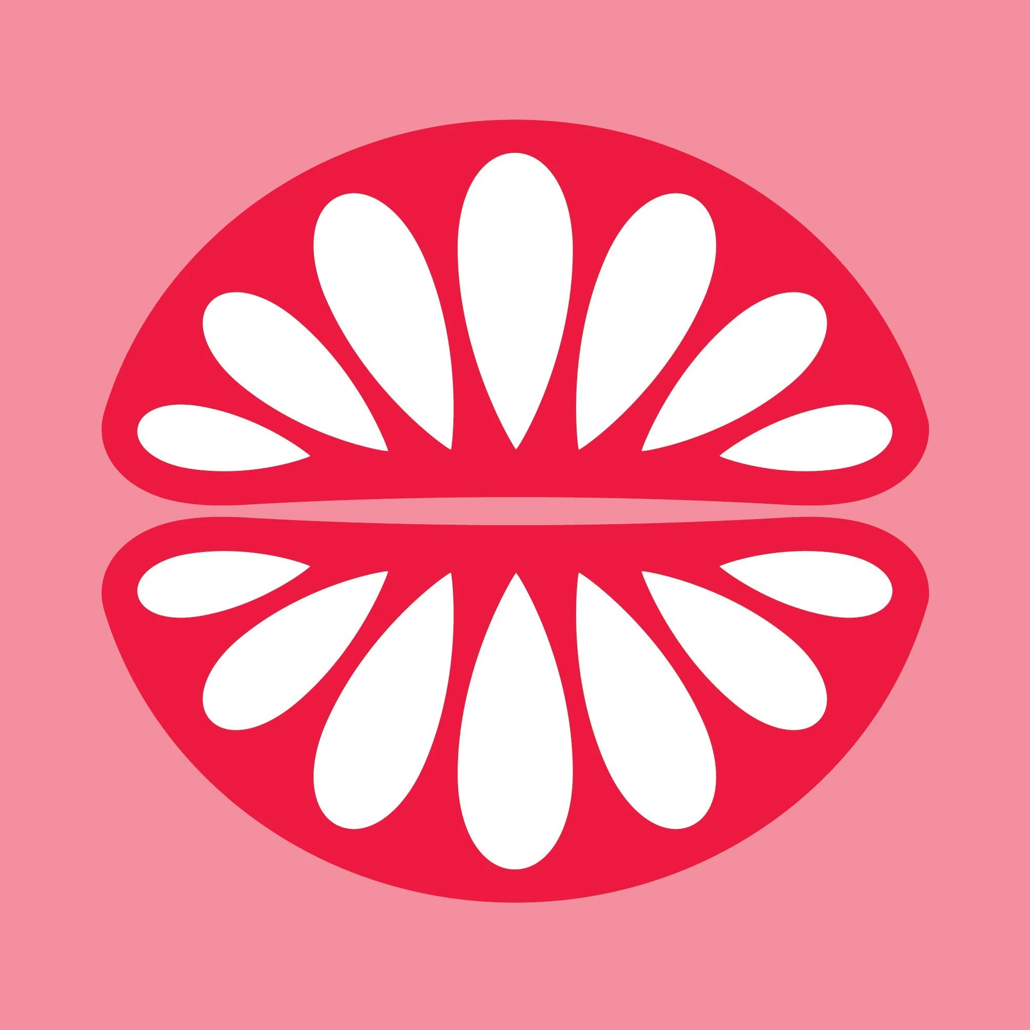 World Iron Awareness Week icon of a stylised sliced fruit