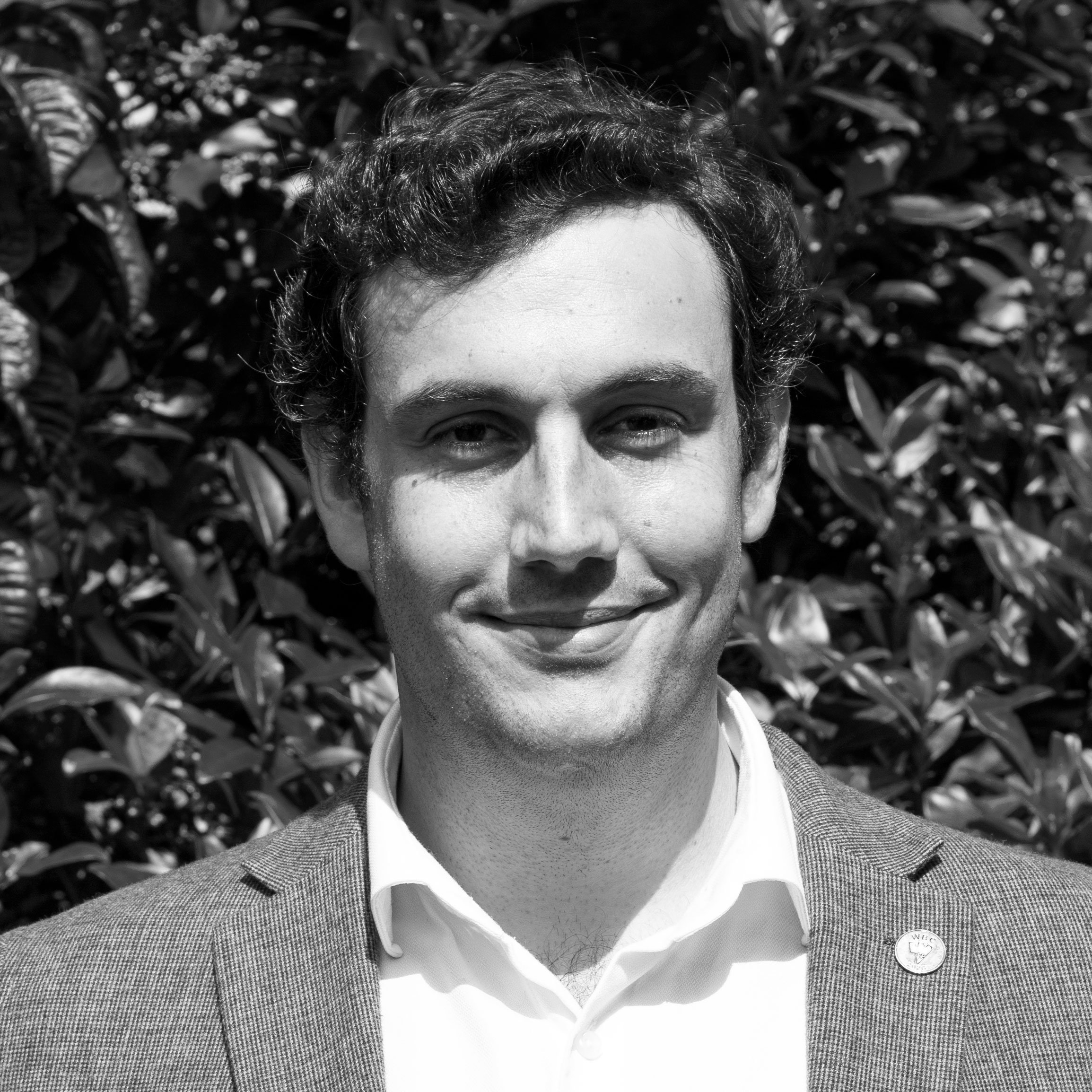 Headshot of Kit Arkwright, Chief Executive Officer of Beef + Lamb New Zealand