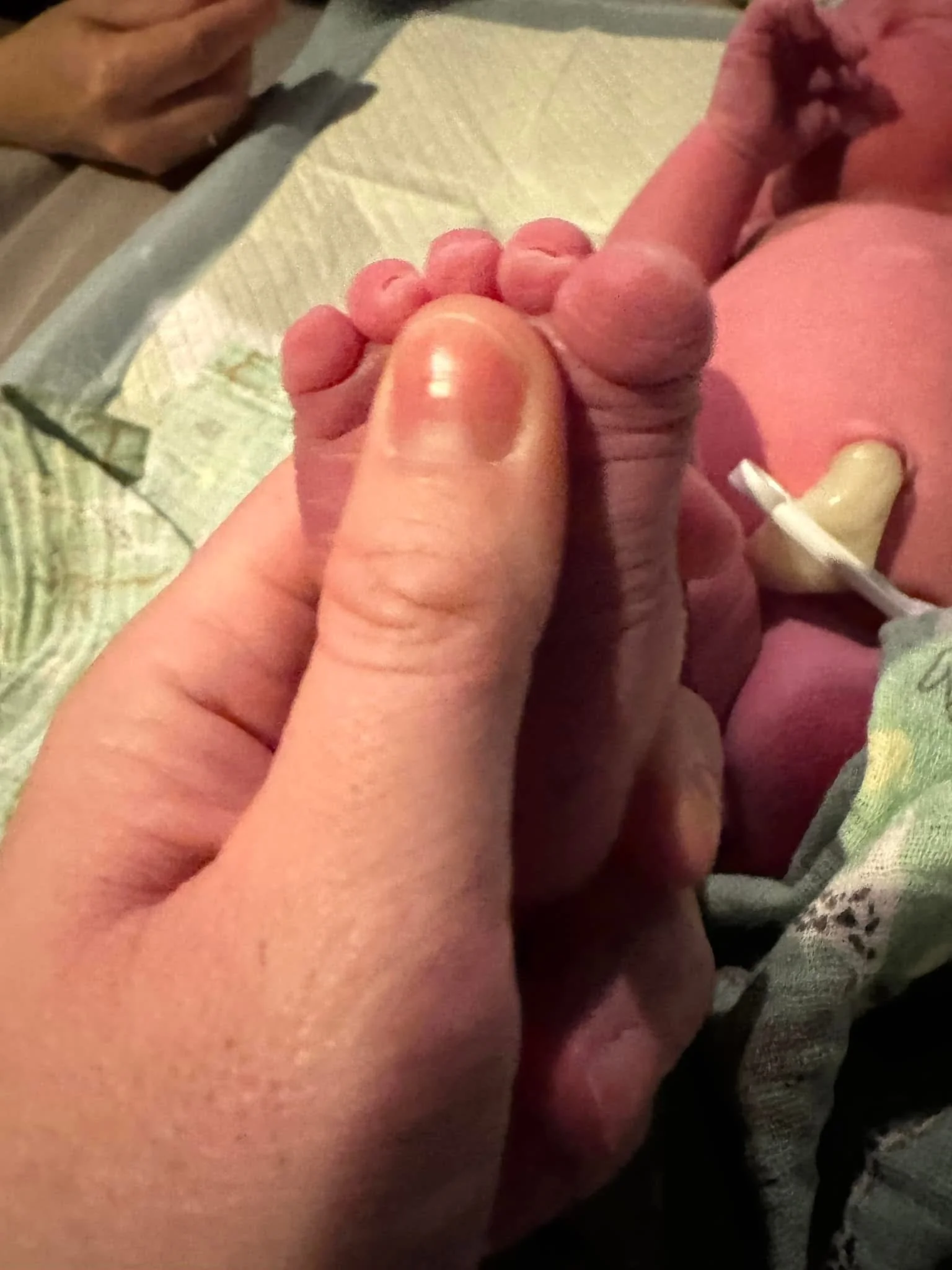 Close-up of a person holding a newborn baby's hand, with the baby wearing a pink outfit and laying on a blanket.