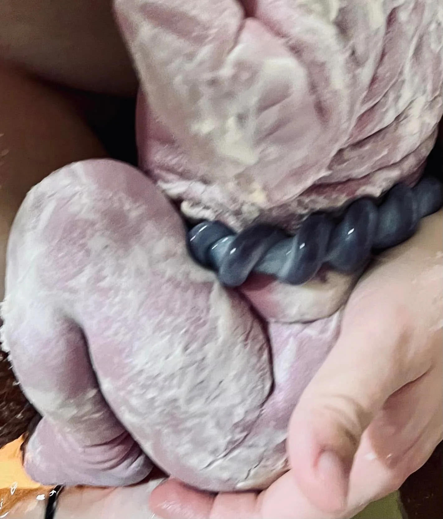 Close-up of a person holding a raw, seasoned chicken with black braided necklace visible in the background.