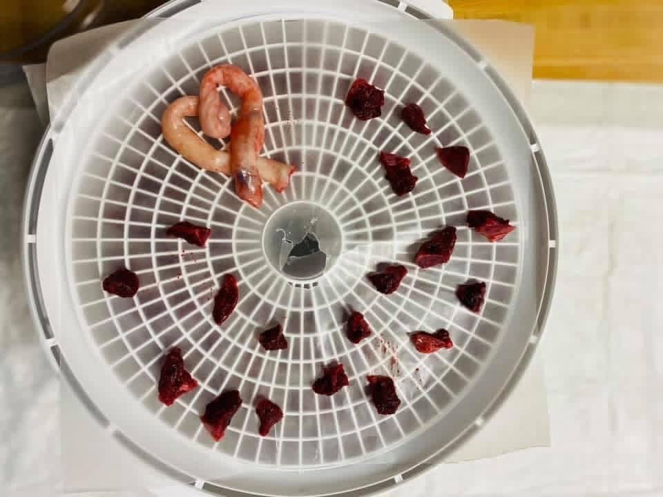 A round food dehydrator with slices of raw beef jerky on the tray, some meat curling, on a white surface.