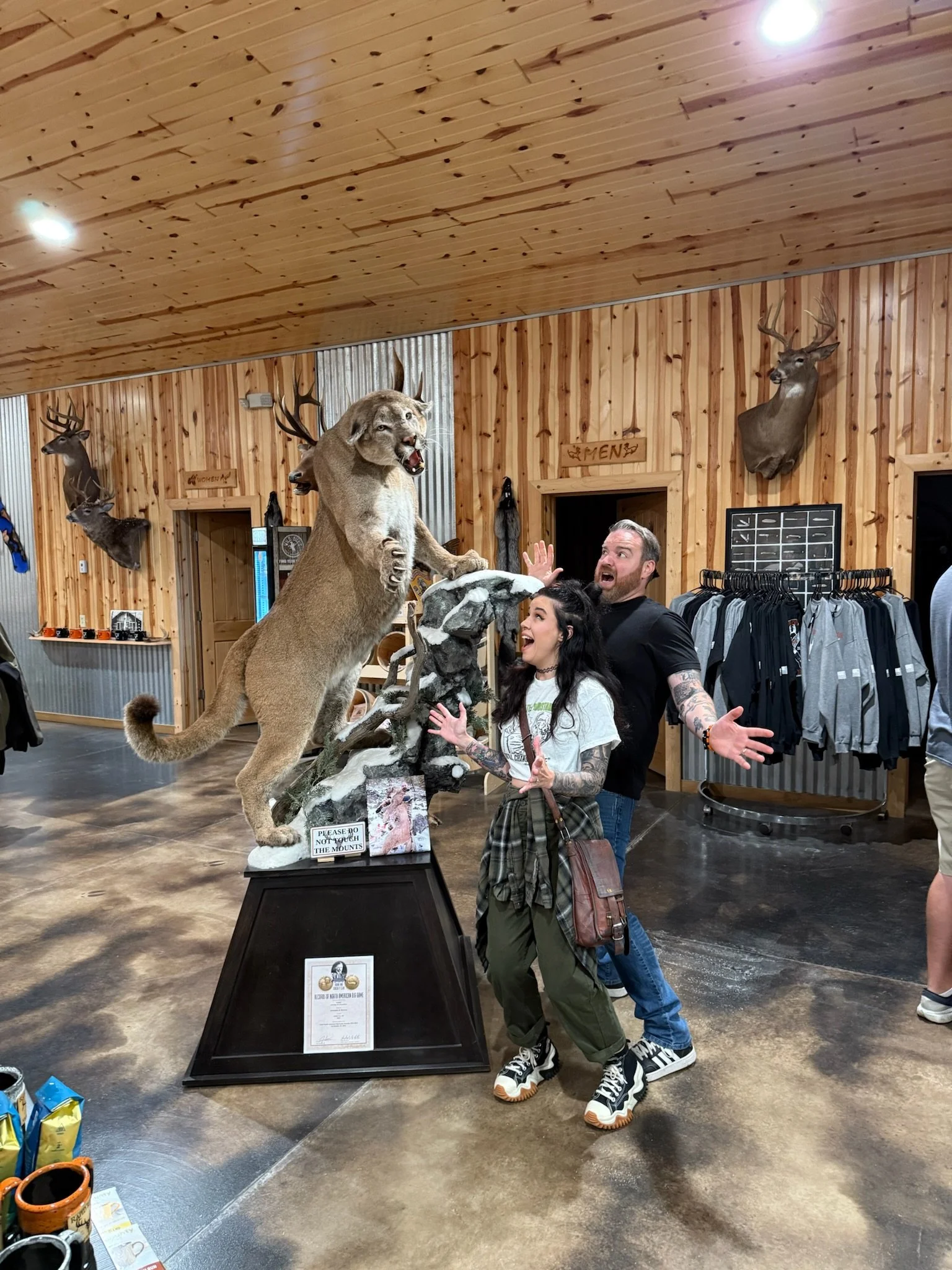 A taxidermy mountain lion standing on a rocky display with an open mouth, surrounded by two excited people in a rustic store. The background features mounted deer heads on wooden walls.
