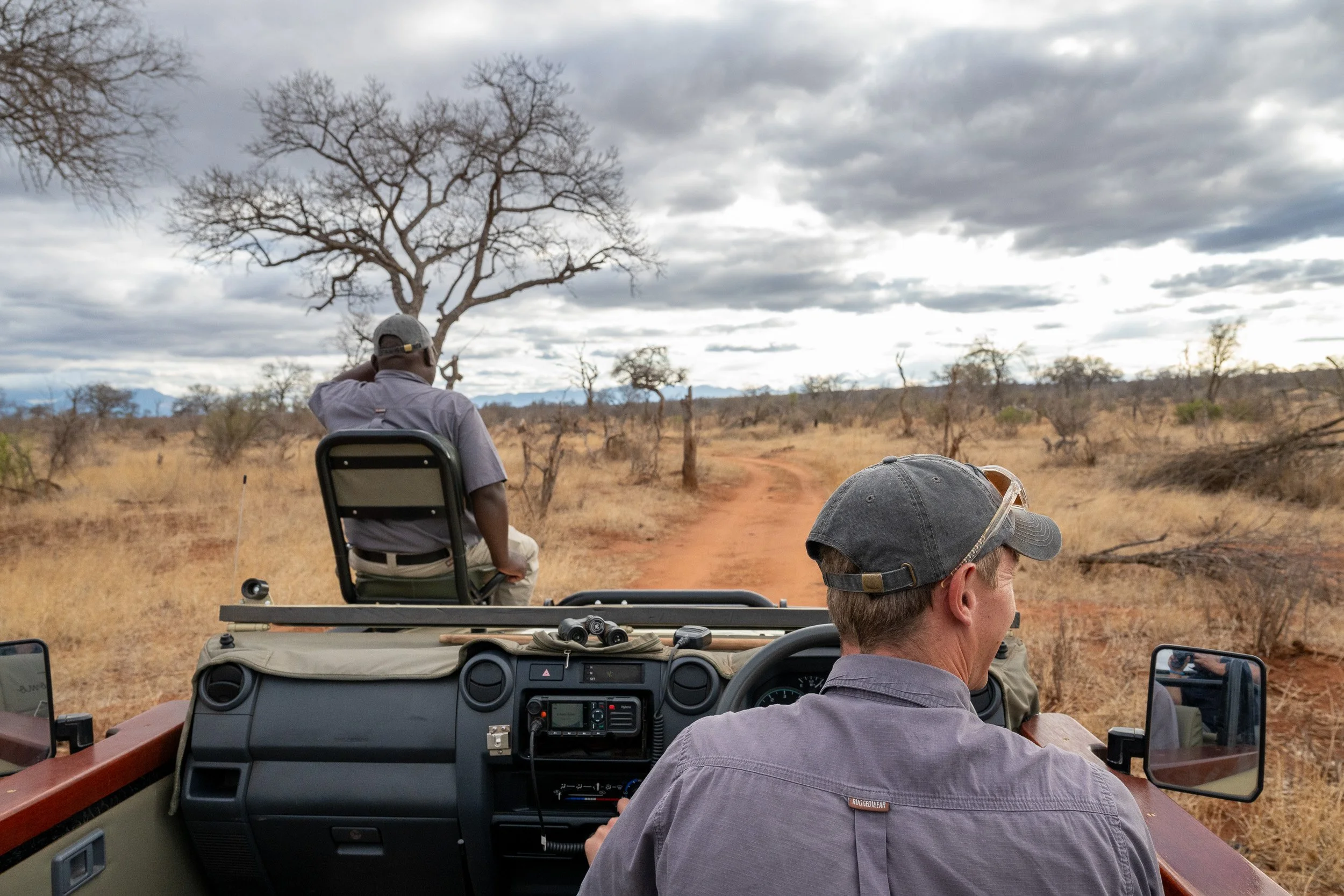 Safari guide scanning the bush from an open game-drive vehicle.