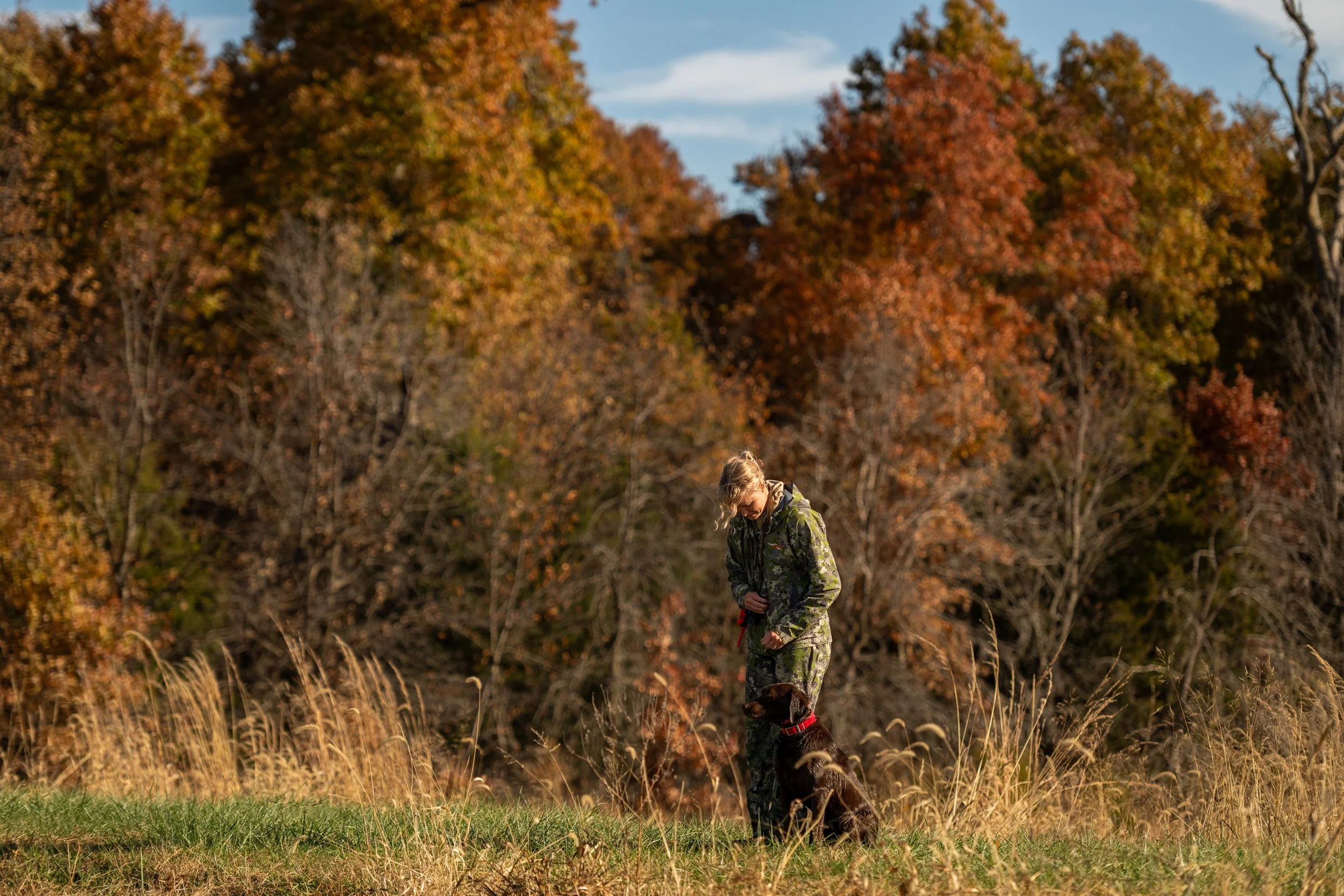 A gun dog trainer in camo looks down at a retriever sitting at heel in a golden autumn field at Habitat Flats in Missouri.