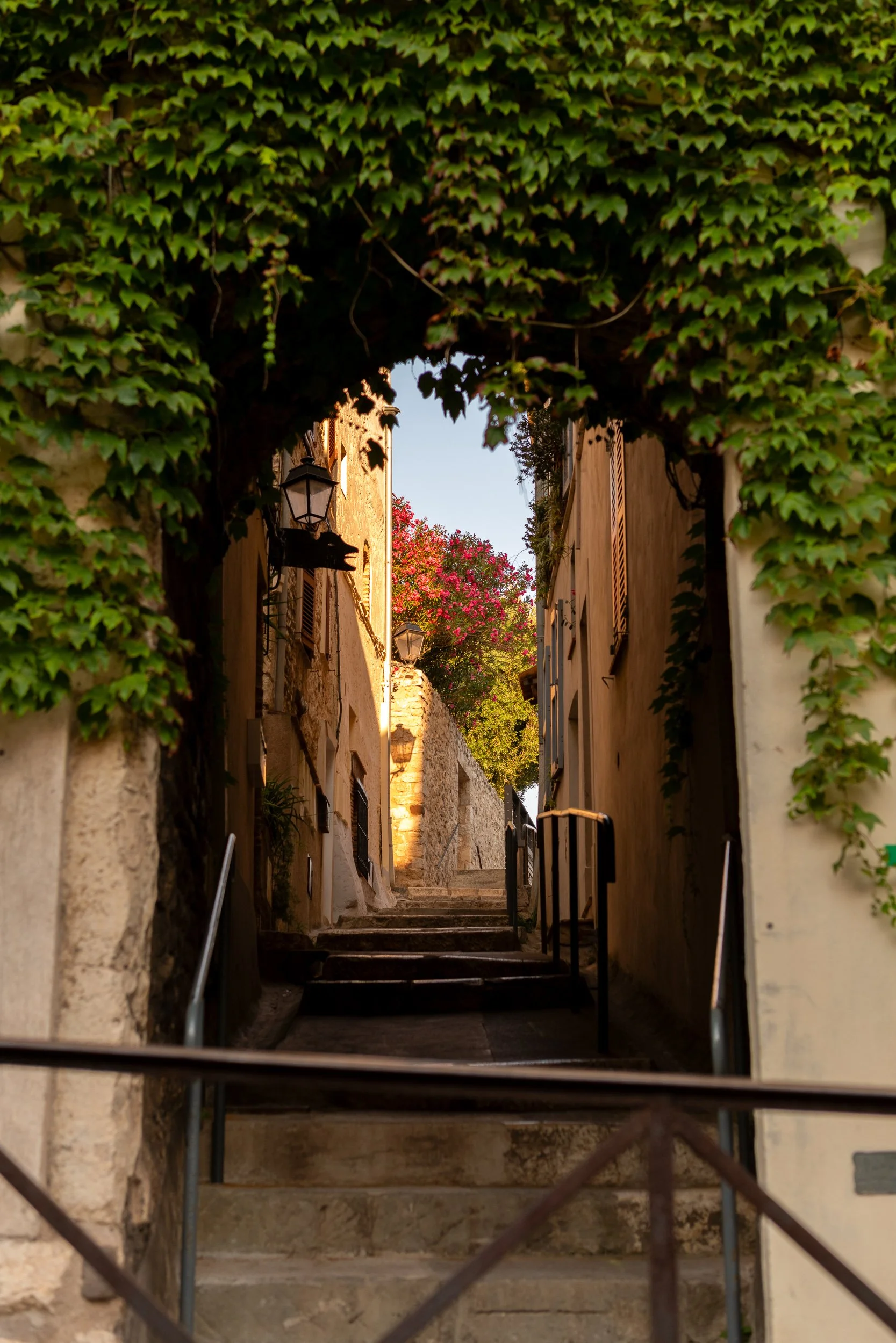  Antibes old town narrow alley framed by ivy-covered archway, stone stairs, lantern, and bougainvillea above.
