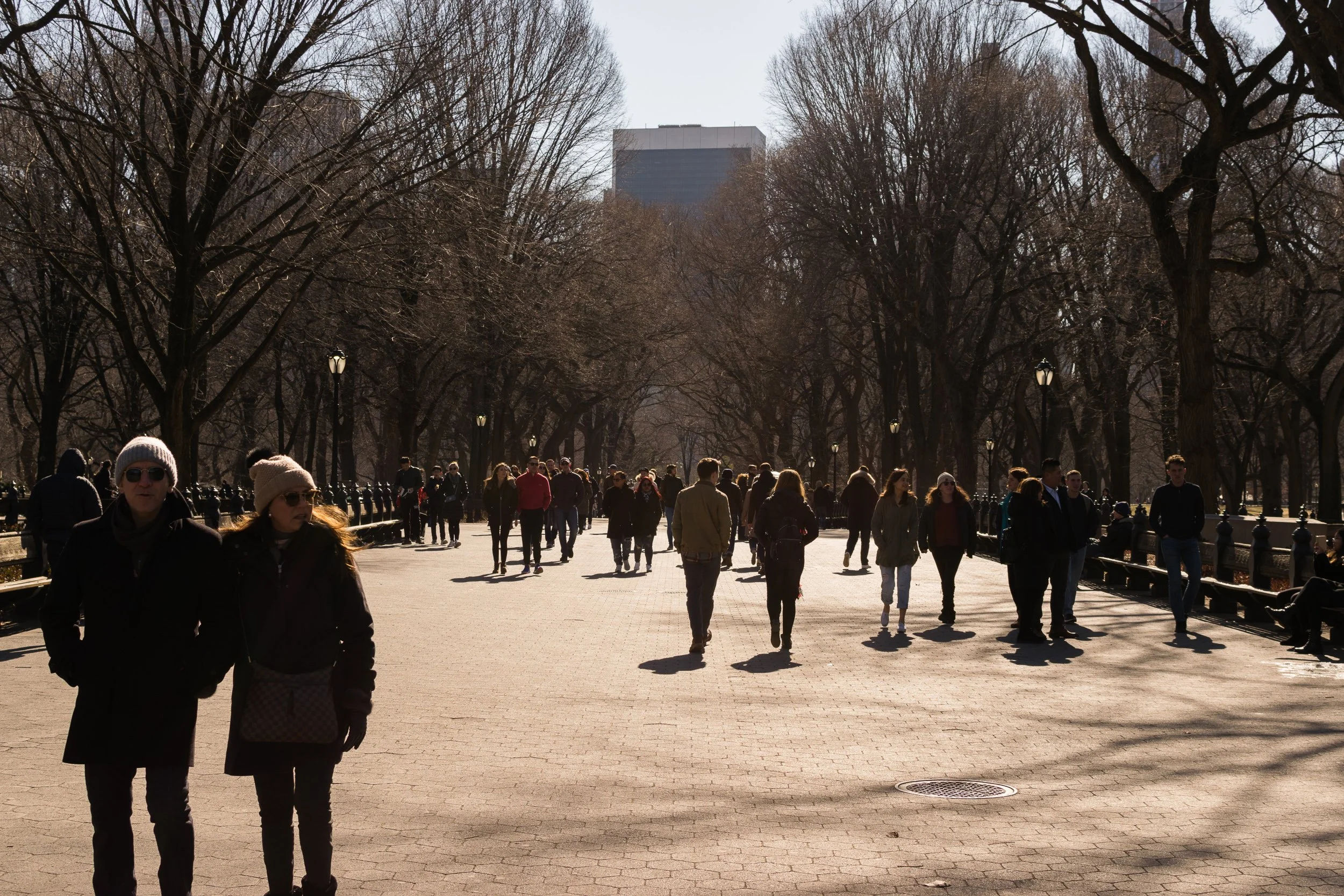 Central Park Mall in winter, New York City, bare trees forming a canopy over the path, people walking.
