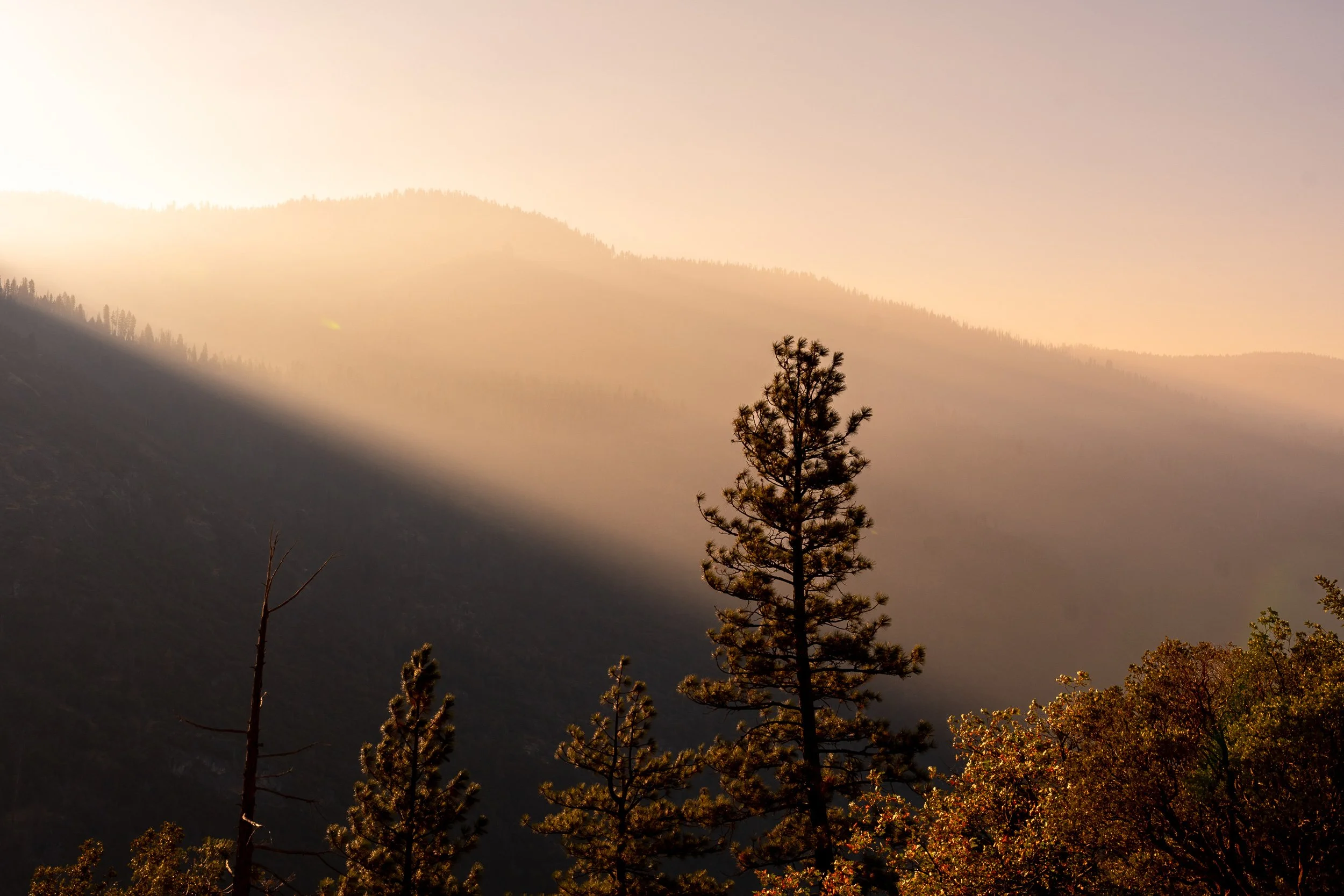 Smoky mountain sunrise, warm haze and golden light through pine silhouettes, layered ridgelines receding into the distance.