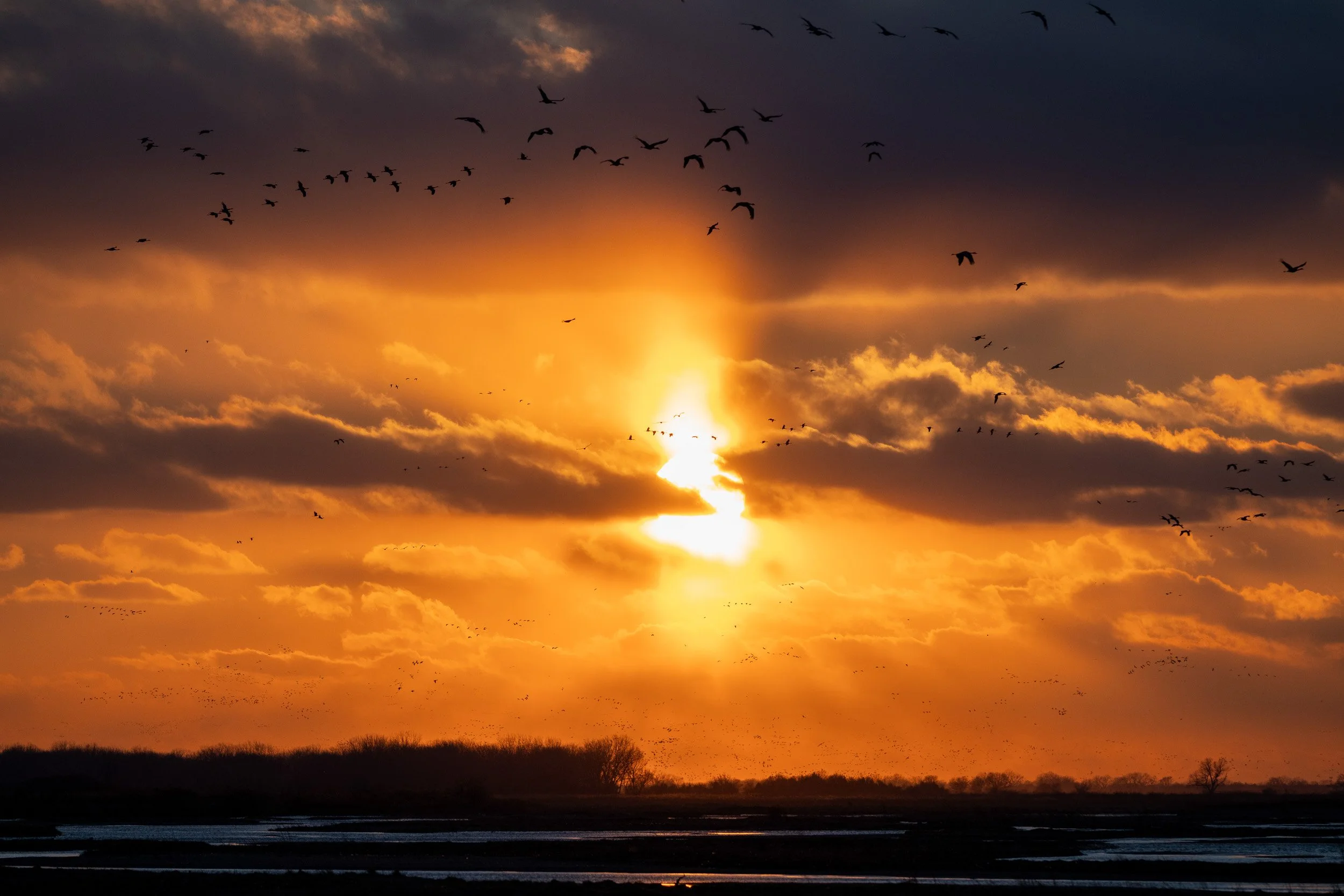 Sunset over the Platte River as sandhill cranes continue their evening migration.