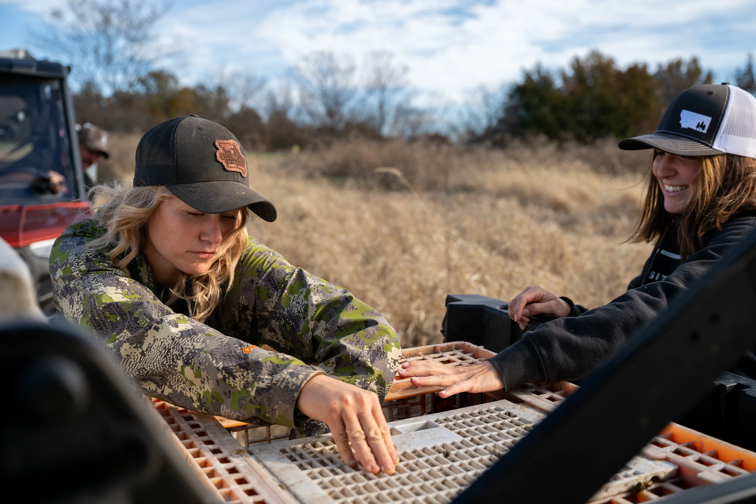 Two trainers in camo work over a game-bird crate on the back of a utility vehicle in a prairie field.