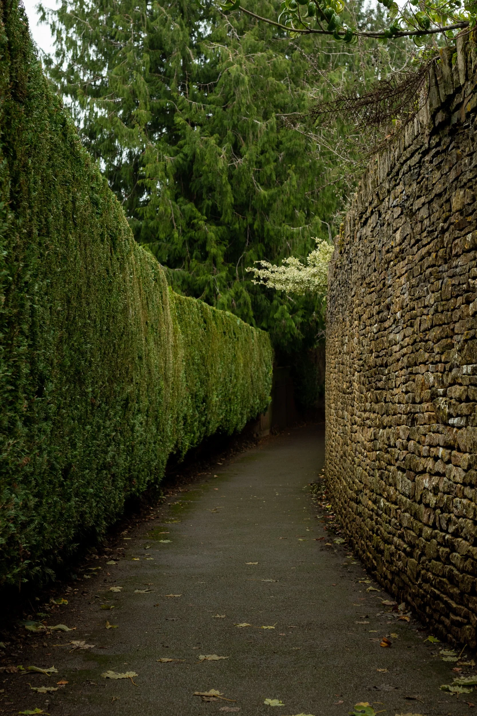  English garden path between a clipped yew hedge and an old stone wall, leading away into the distance, overcast light.