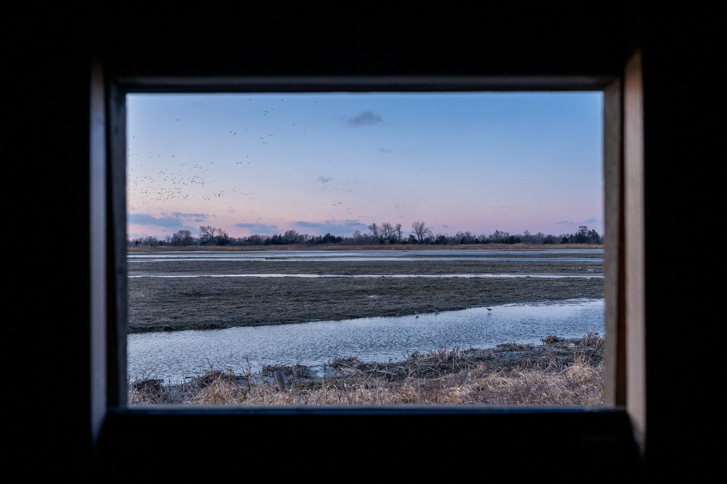 View through a blind window toward the Platte River at sunset as cranes arrive to roost.