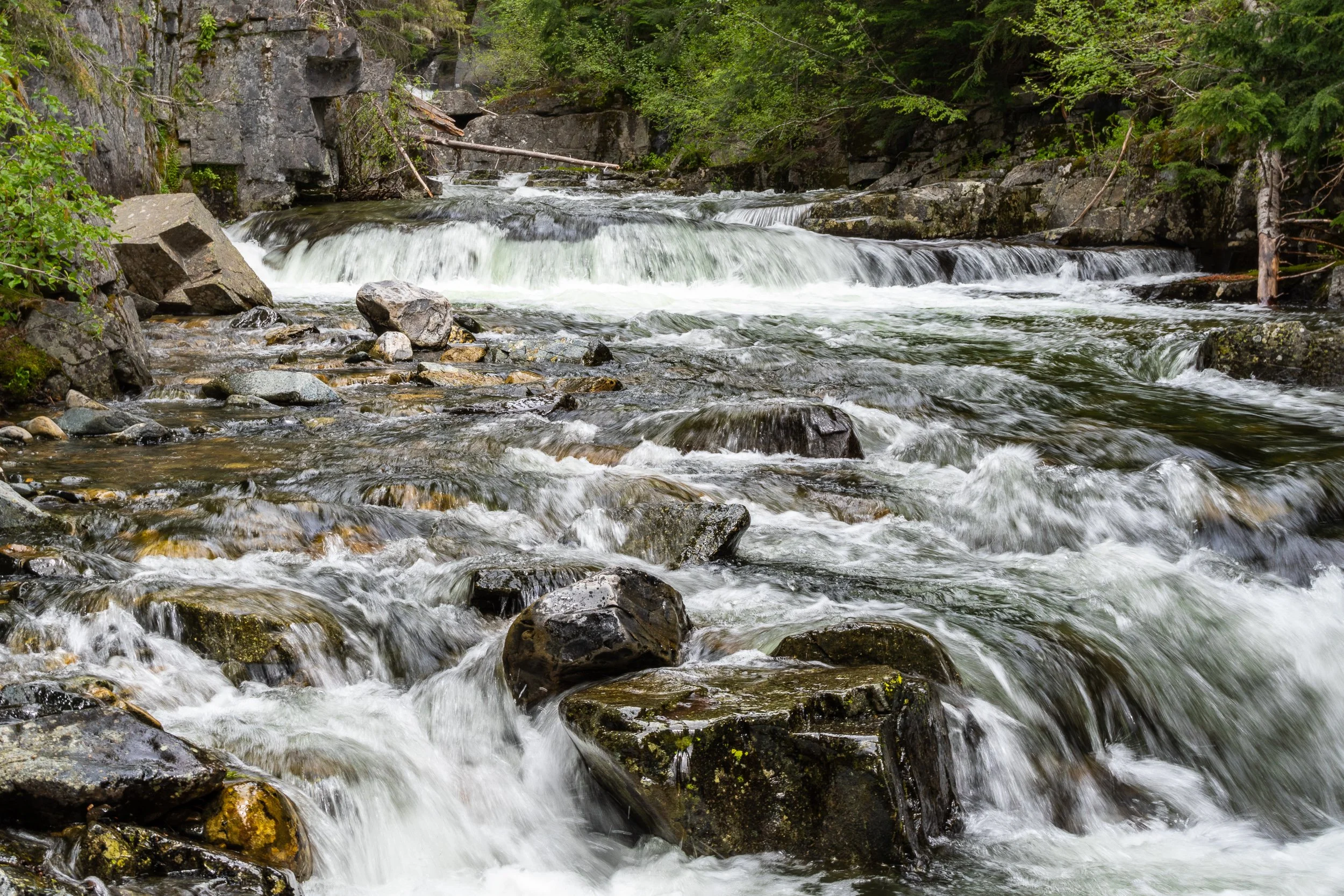 Rocky mountain stream with rapids cascading over boulders near Sandpoint in the Idaho Panhandle, lush green summer foliage.