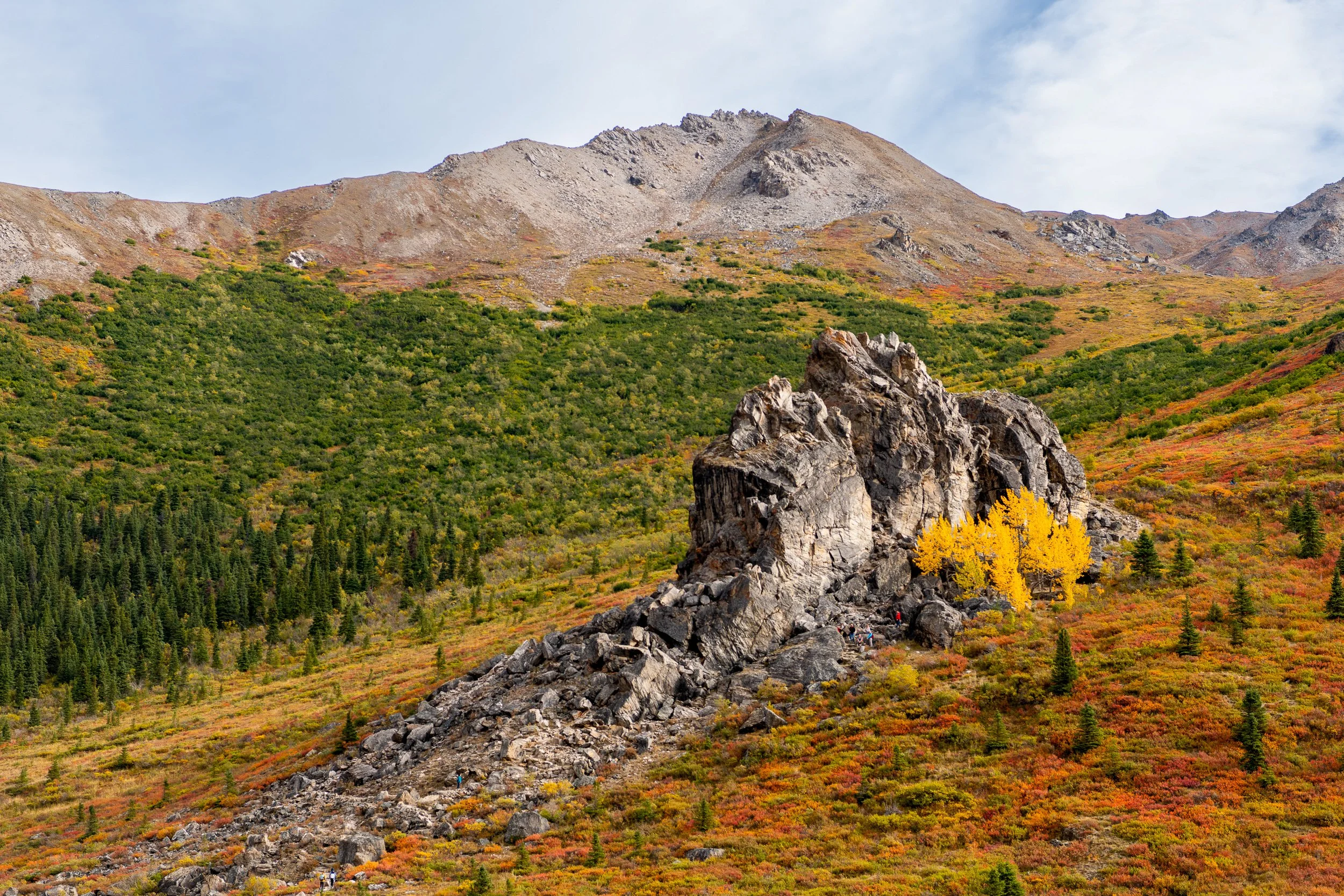 Rocky outcropping rising from fall tundra hillside in Alaska, mountain summit above, scattered yellow trees among the scrub.