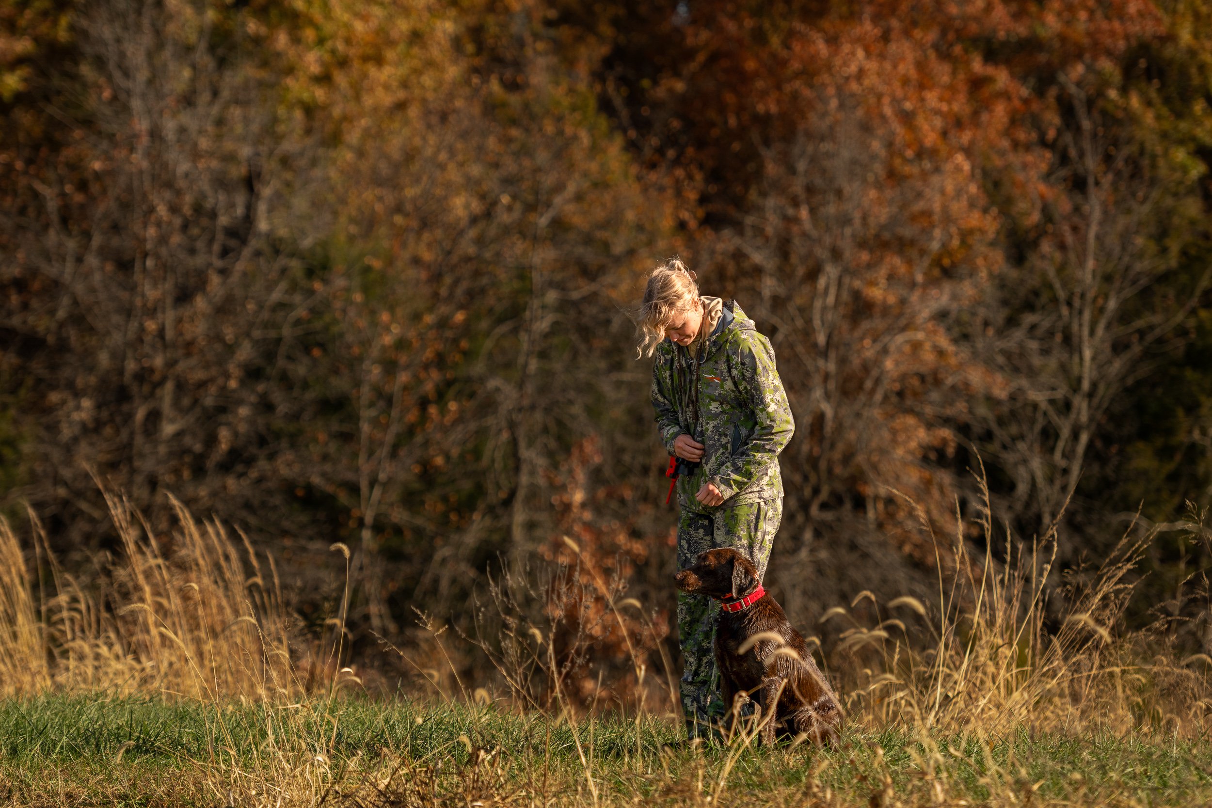 Hunter in Sitka camouflage gear working with a chocolate Labrador retriever in a field at Habitat Flats hunting preserve in Marceline, Missouri, surrounded by autumn foliage in warm amber and rust tones.