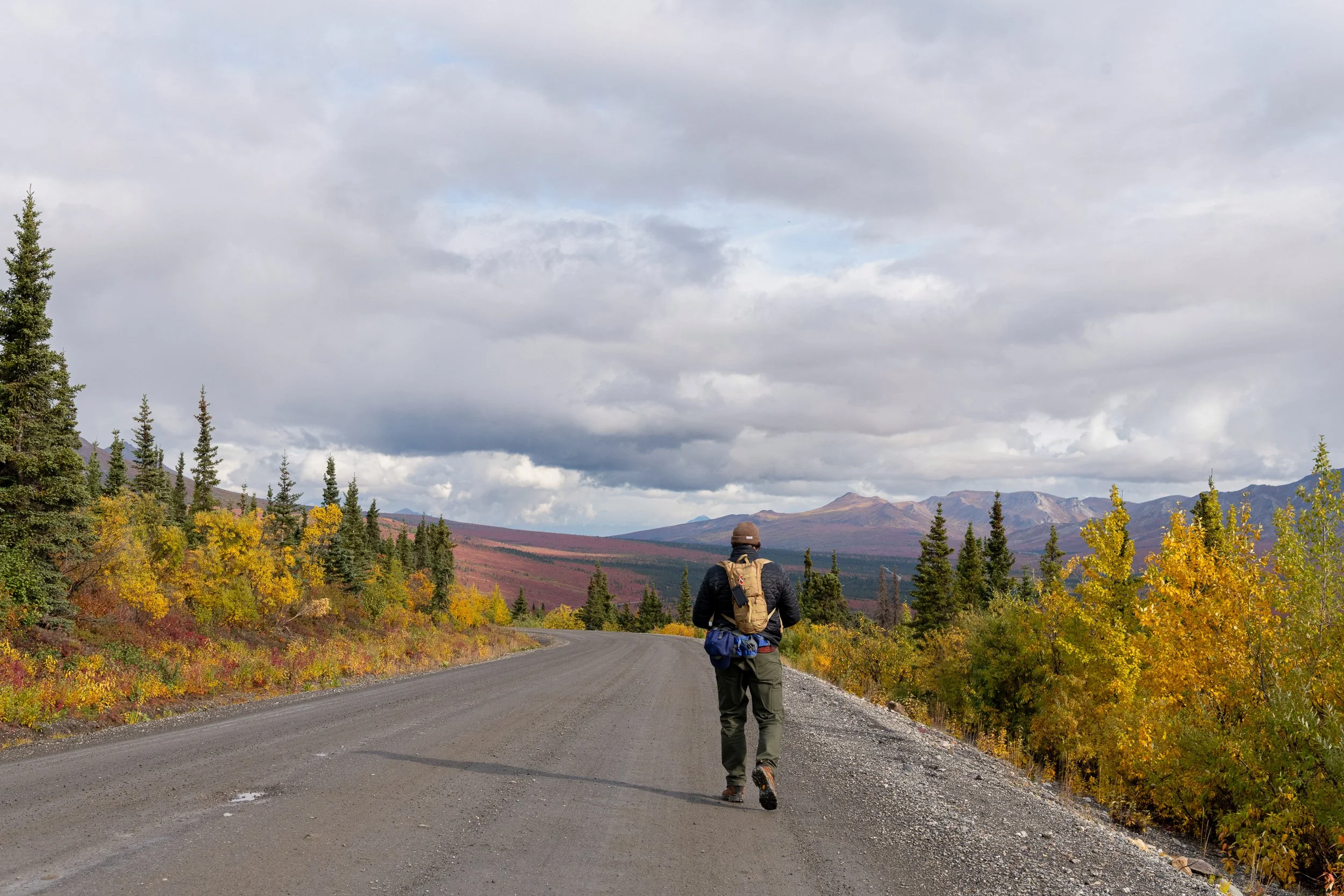 Solo traveler walking away down a road through fall foliage in Alaska, mountains ahead, big sky.