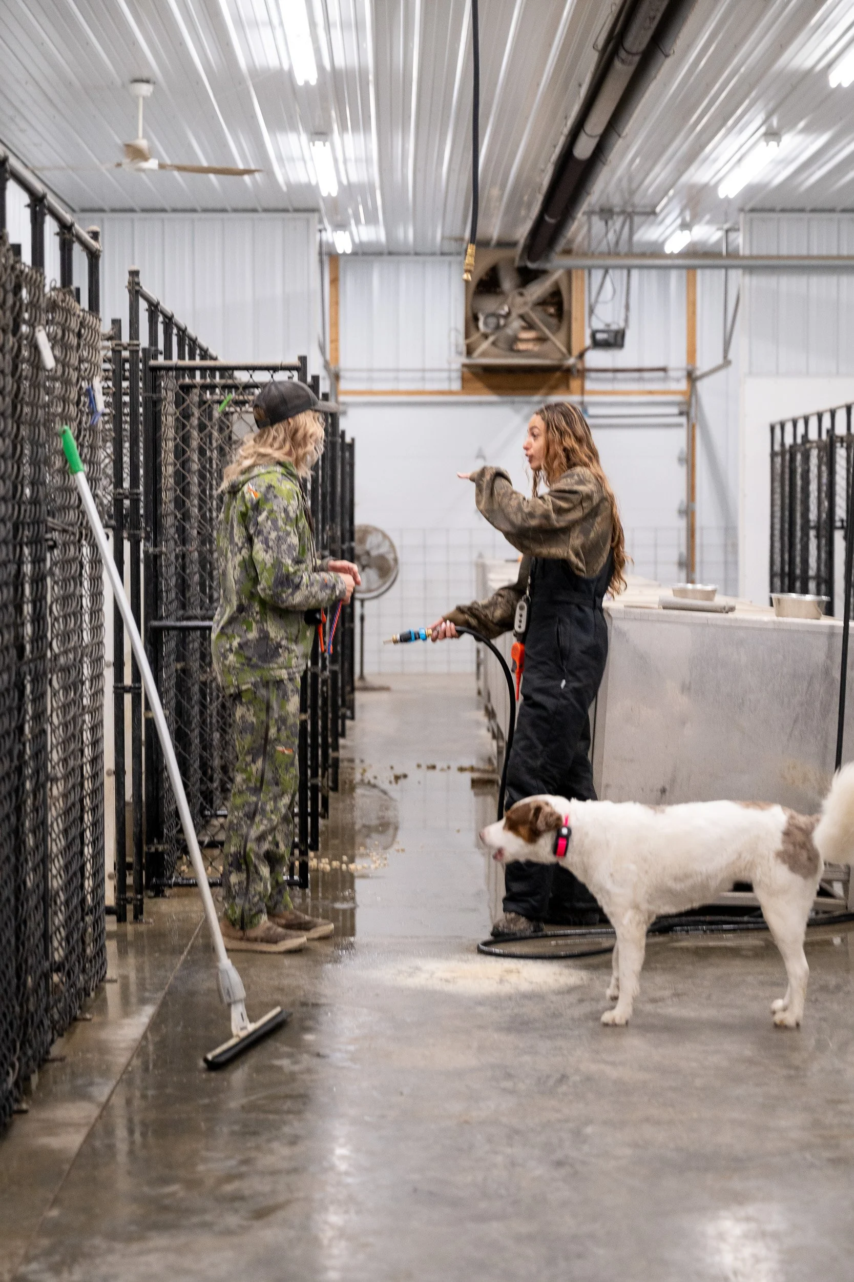 A trainer and a dog in the concrete aisle of an indoor kennel building at dawn.