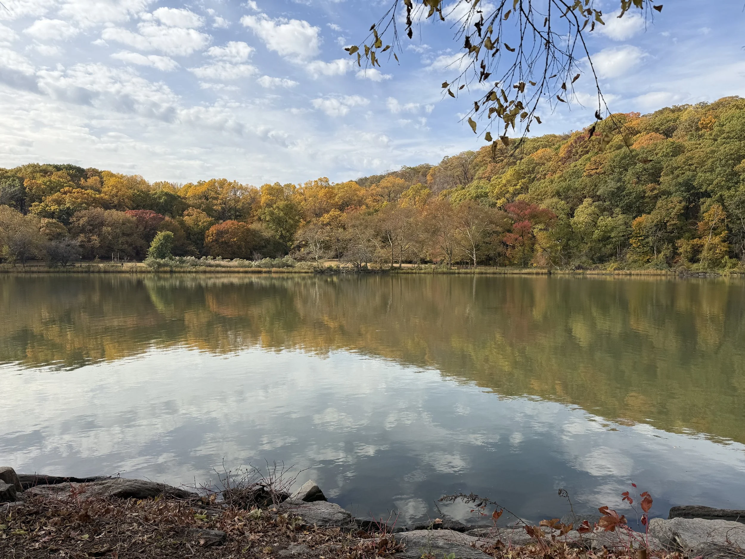 A peaceful autumn scene at a lake, with trees displaying fall foliage in shades of green, yellow, orange, and red, and a partly cloudy sky reflected in the water.