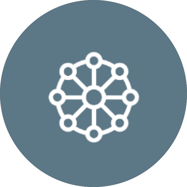 Icon of interconnected nodes forming a network on a blue circular background.