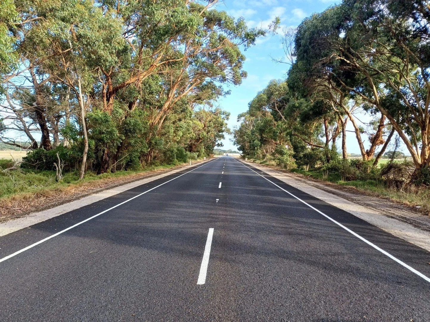 A straight black asphalt road with white lane markings stretches ahead through a rural landscape. Tall trees with green leaves line both sides of the road, and the sky is partly cloudy with patches of blue.