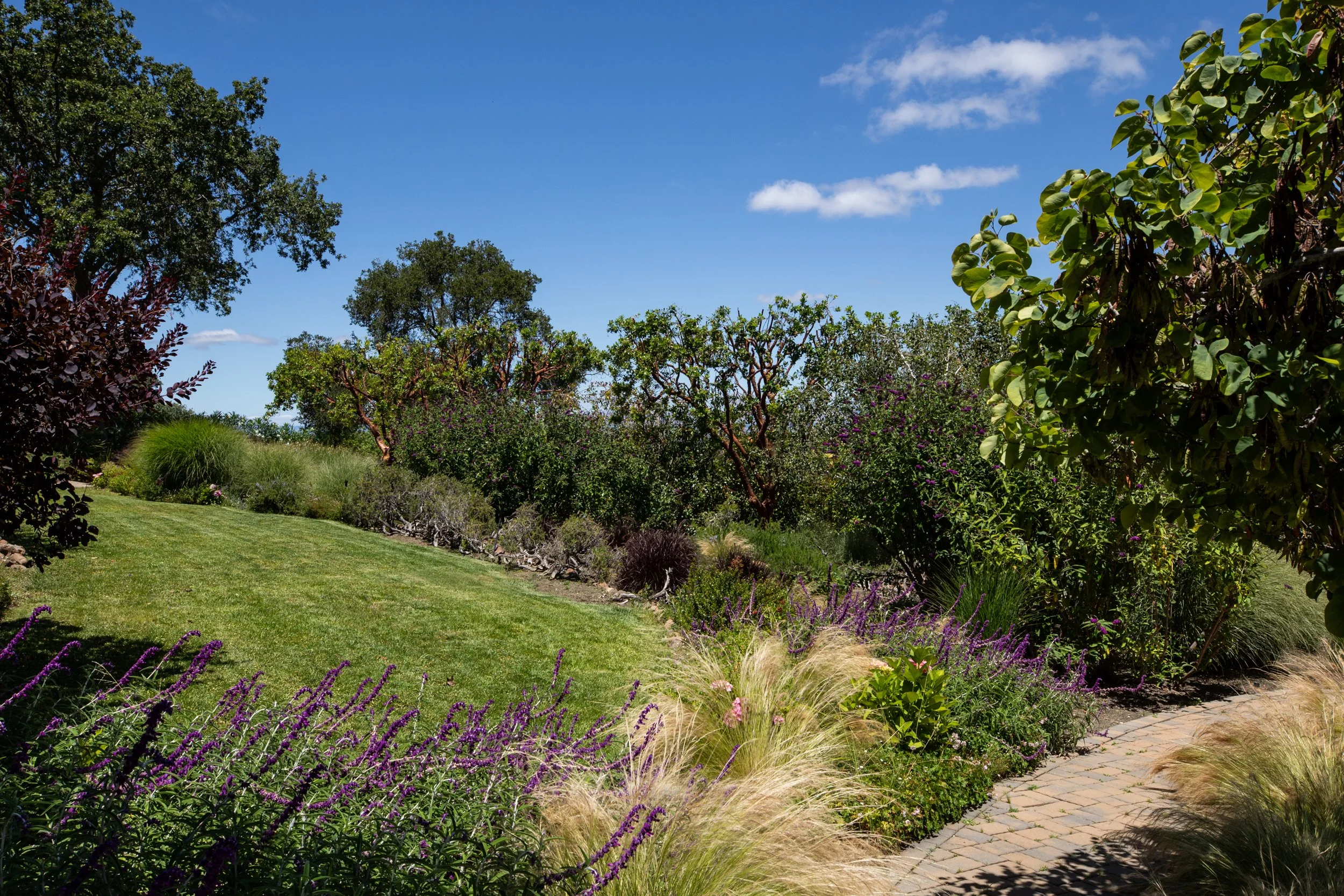 40-Taaffe_Matt_Anello-5419-MLS.jpg