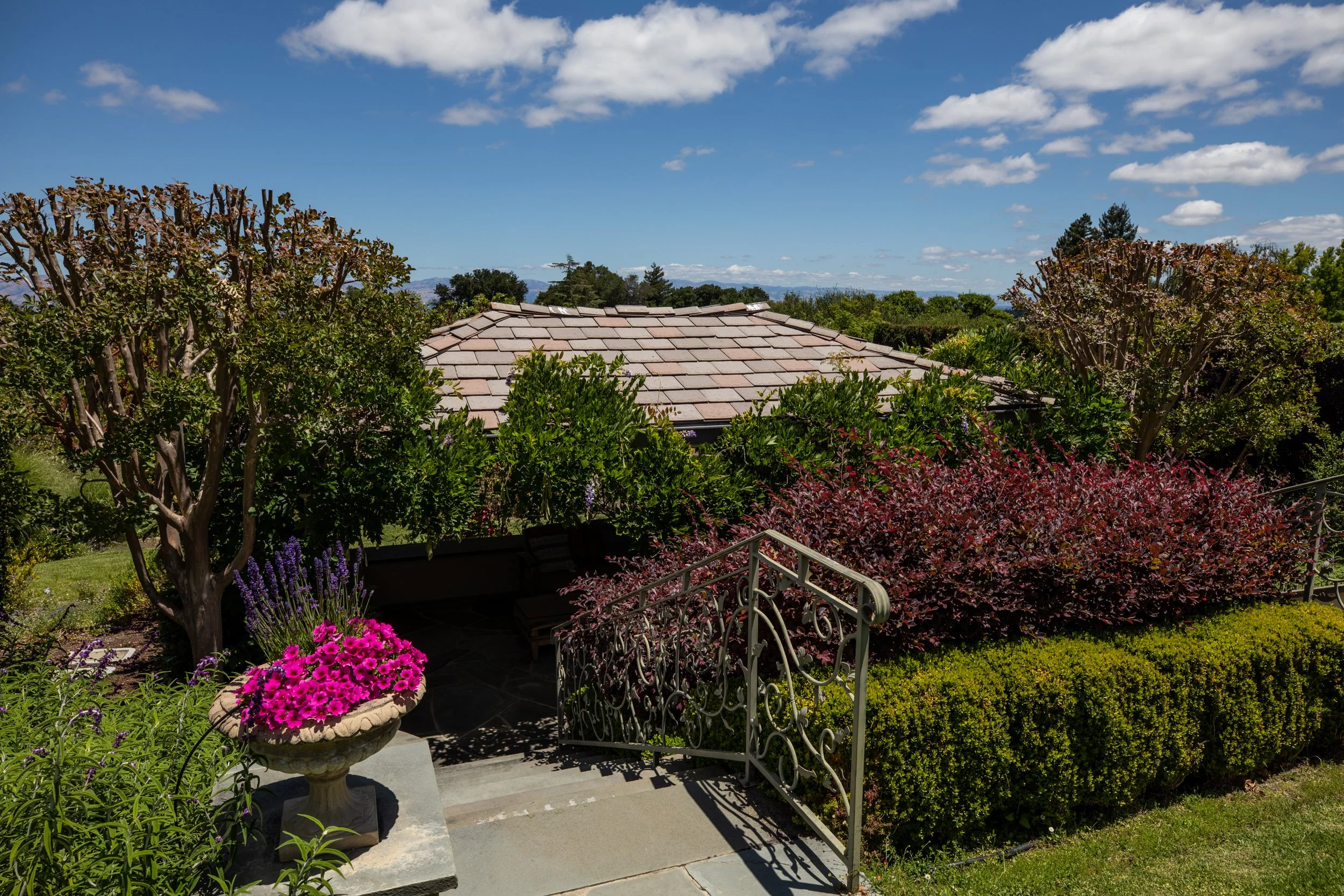 38-Taaffe_Matt_Anello-5416-MLS.jpg