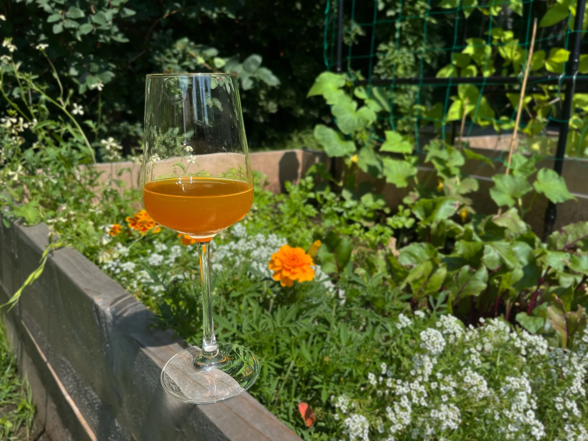 Garden-to-Glass Terroir Tasting
