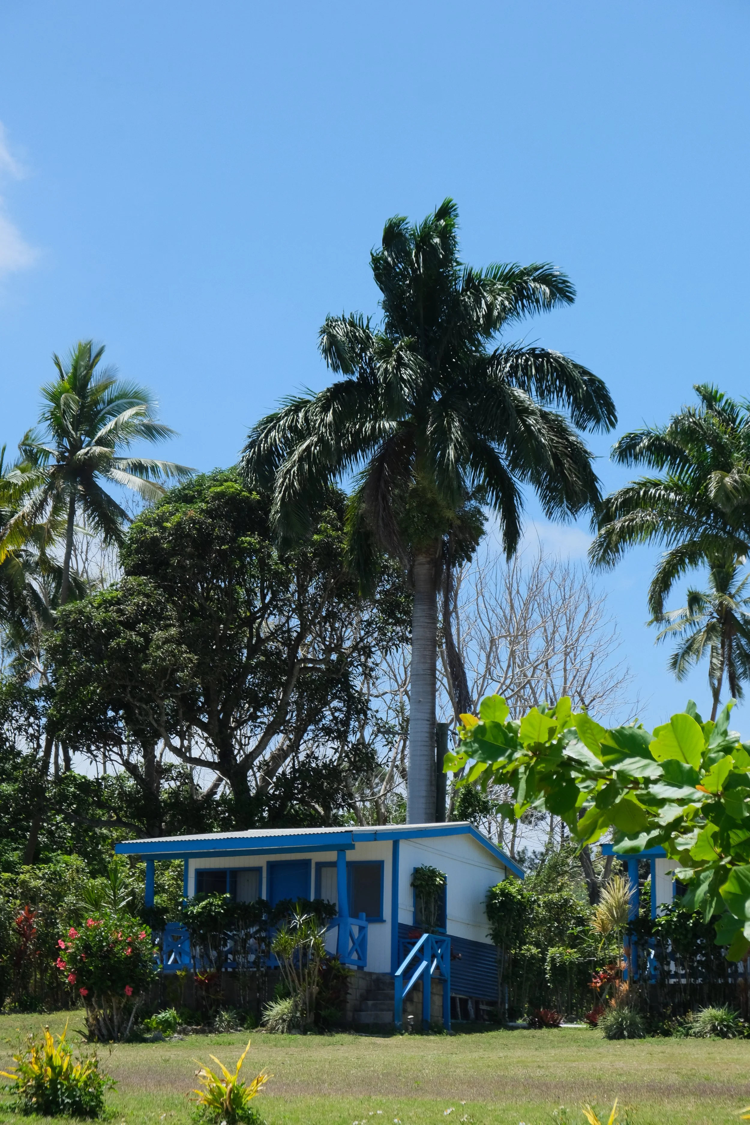DSCF6388.JPG