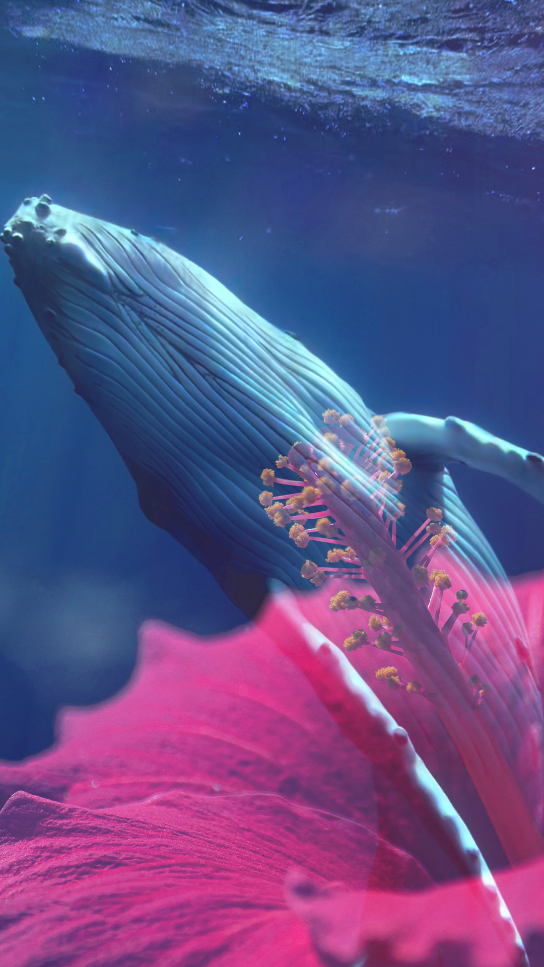 Close-up of a whale swimming underwater near a pink and red flower.