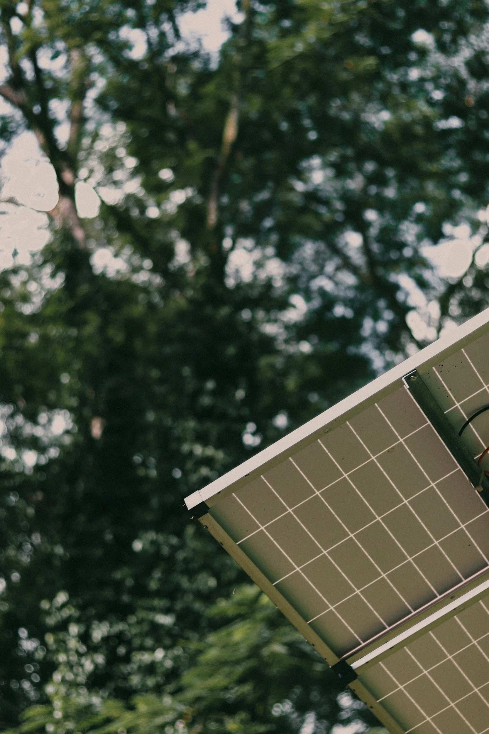 Close-up of a solar panel mounted on a stand with green leafy trees in the blurred background.