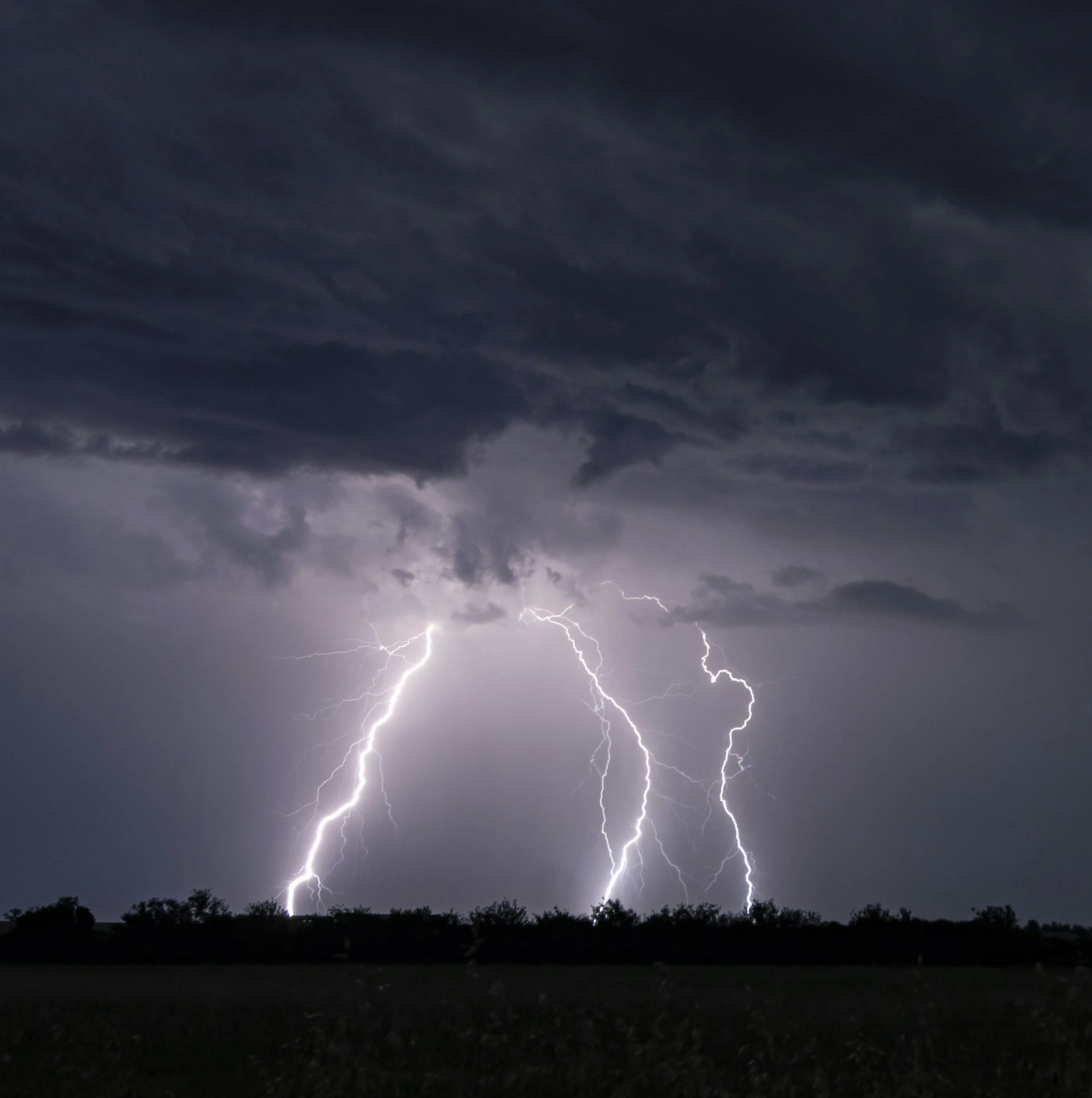 Lightning strikes during a thunderstorm at night, with dark clouds overhead and a silhouette of trees at the bottom.