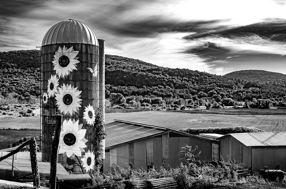Sunflower Silo, Tyringham, MA