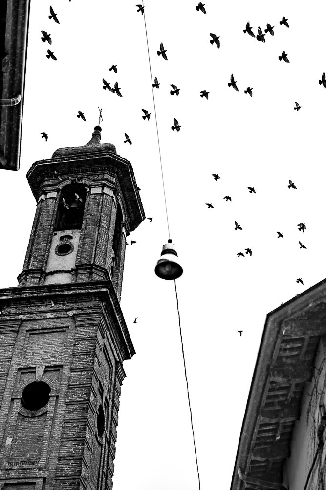 BELL TOWER & BIRDS, ALBA.jpg