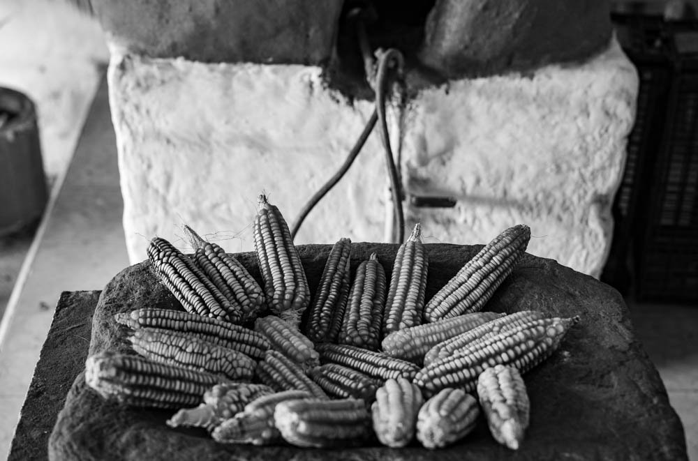 MAIZE ON PLANCHA, OAXACA 3.jpg