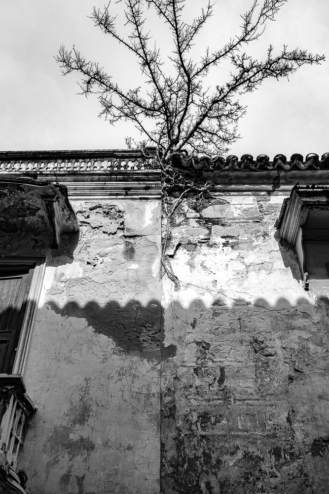 between two houses, cartegena.jpg