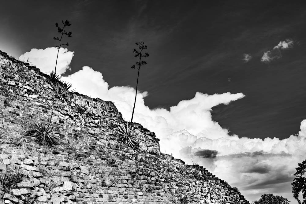 Monte Albán, stone, agave, sky & cloud