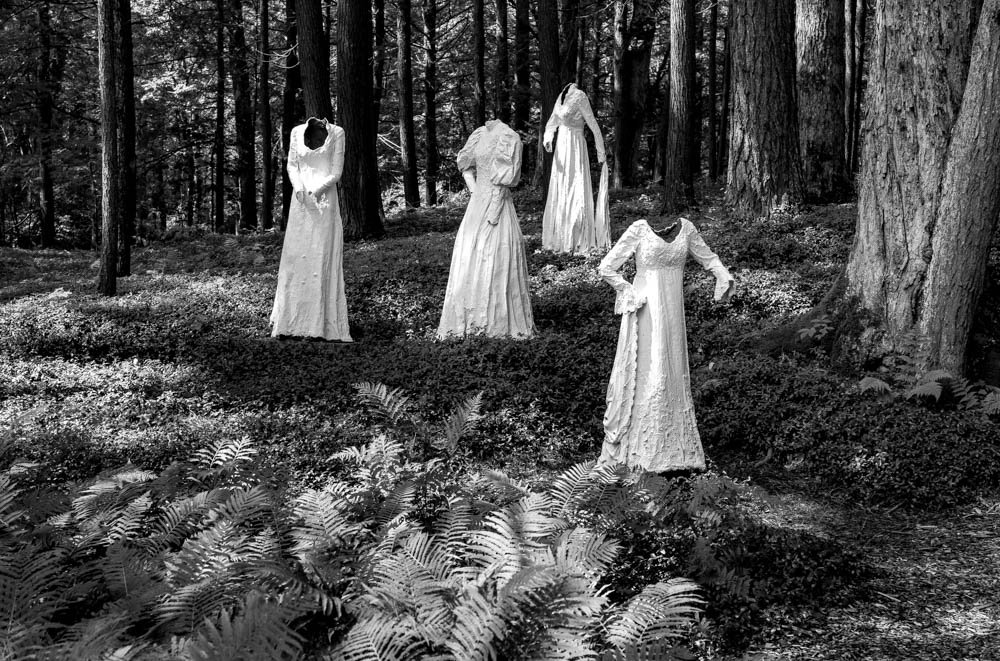 Sculptures in the Wood,
The Mount, Lenox MA
